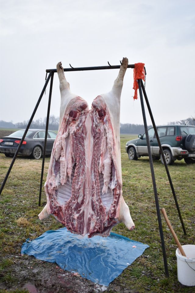 KOLINJE U ČUKOVCU U tijeku je druženje uz stare običaje i autentična jela (7)