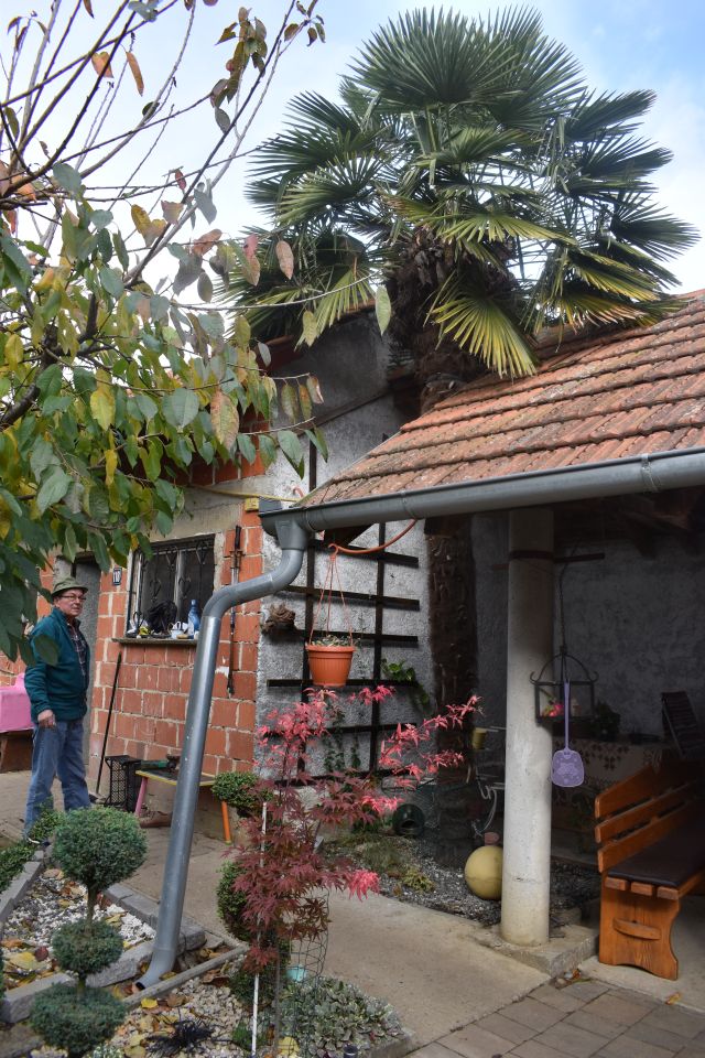 KRIŽOVEC Suzana Antolašić i Biserka Vičar (3)