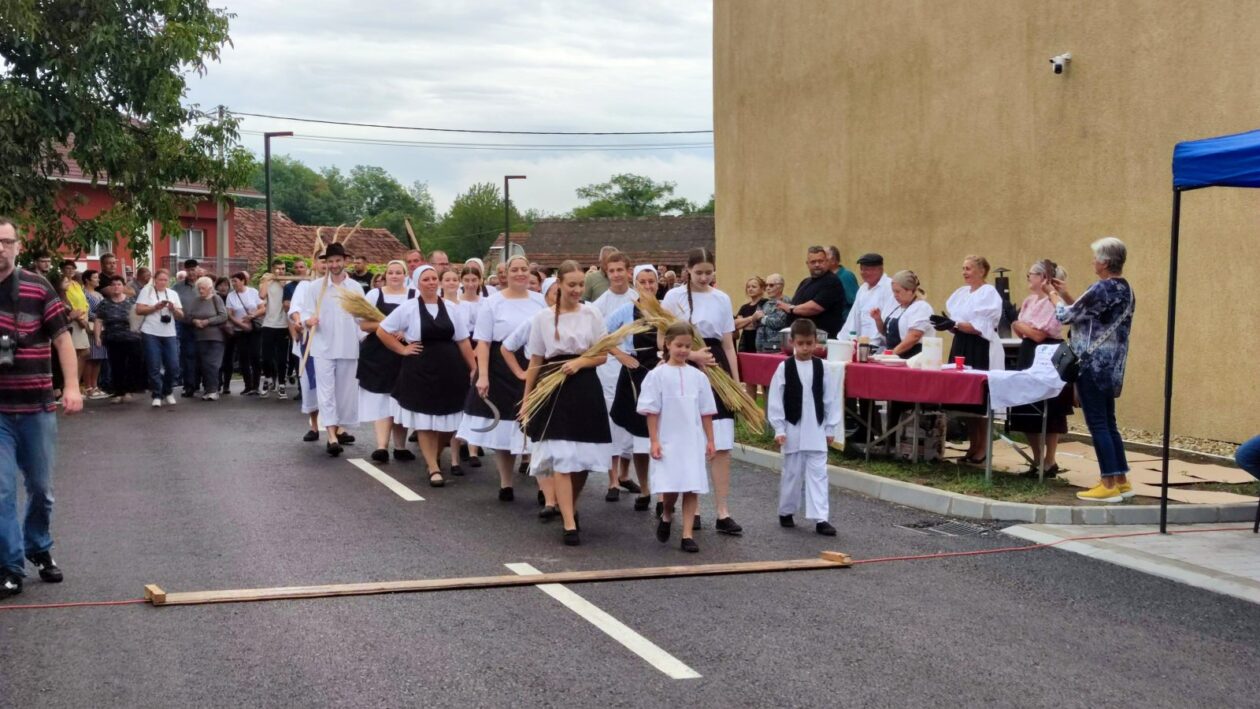 KUD Belica – Festival krumpira 2025 (3)