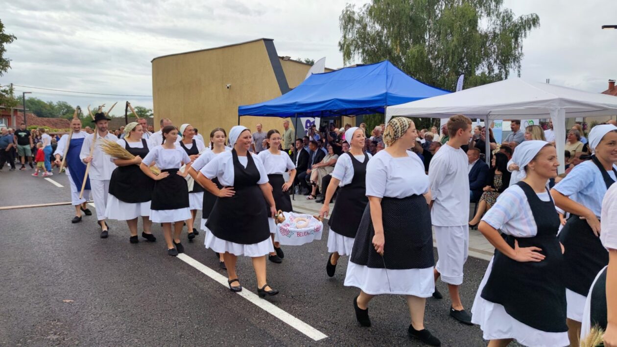 KUD Belica – Festival krumpira 2025 (5)