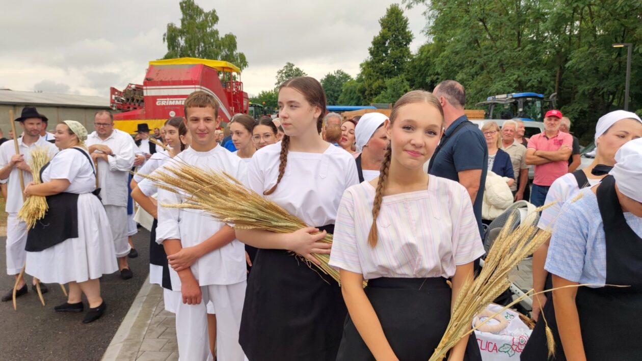 KUD Belica – Festival krumpira 2025 (7)