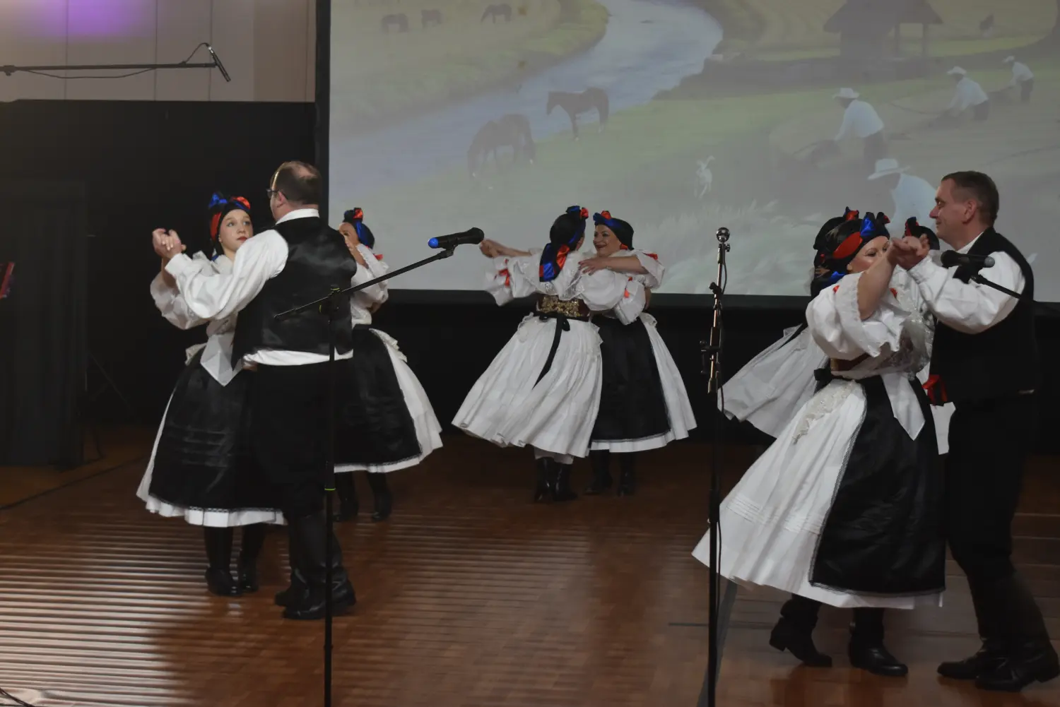 KUD Belica i KUD Orehovica koncert Belica 26012025 (25)