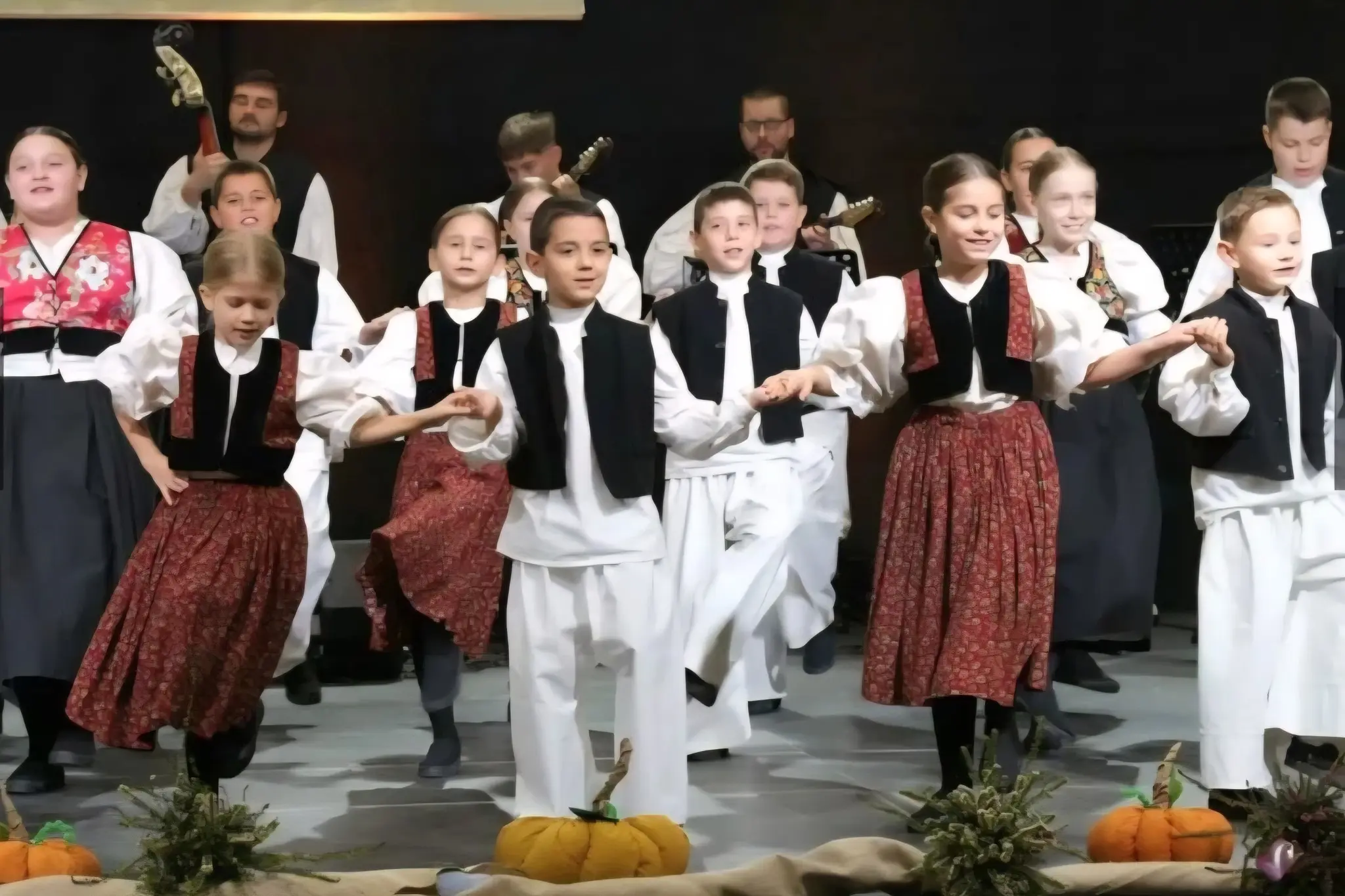 KUD DONJI VIDOVEC (20)