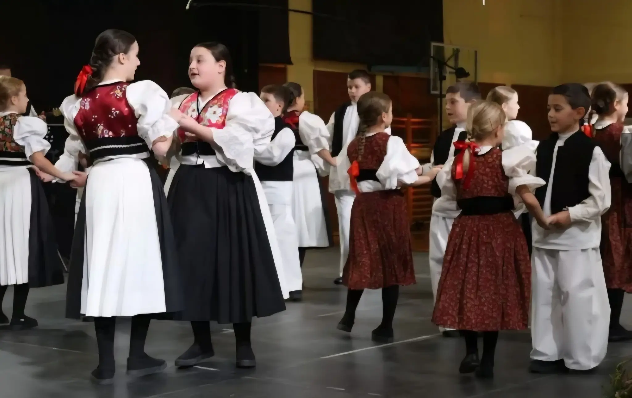 KUD DONJI VIDOVEC (6)