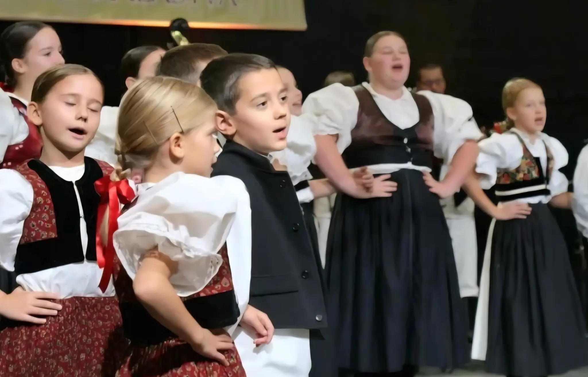 KUD DONJI VIDOVEC (9)