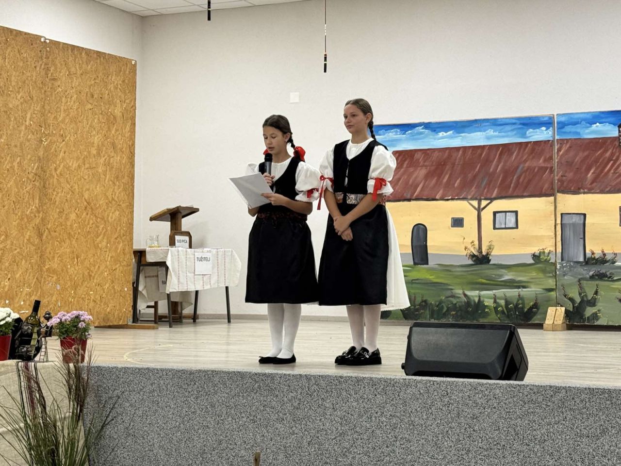 KUD PODTUREN Tradicija, pjesma i mošt priredba povodom Martinja ispunila Društveni dom (3)