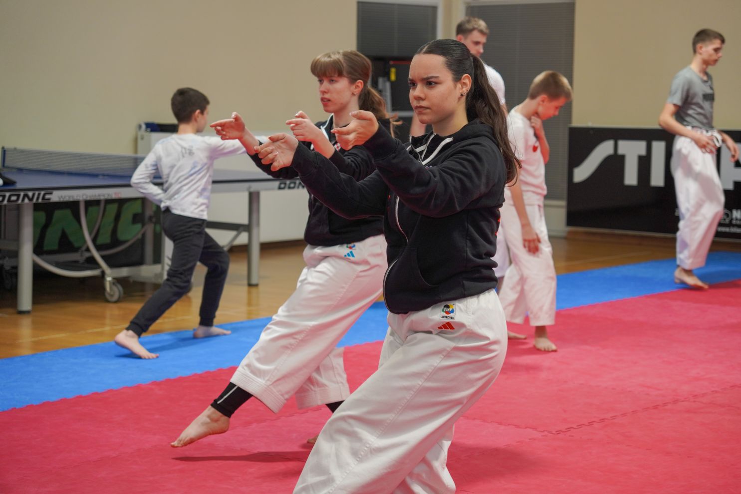 Karate centar Šenkovec (16)