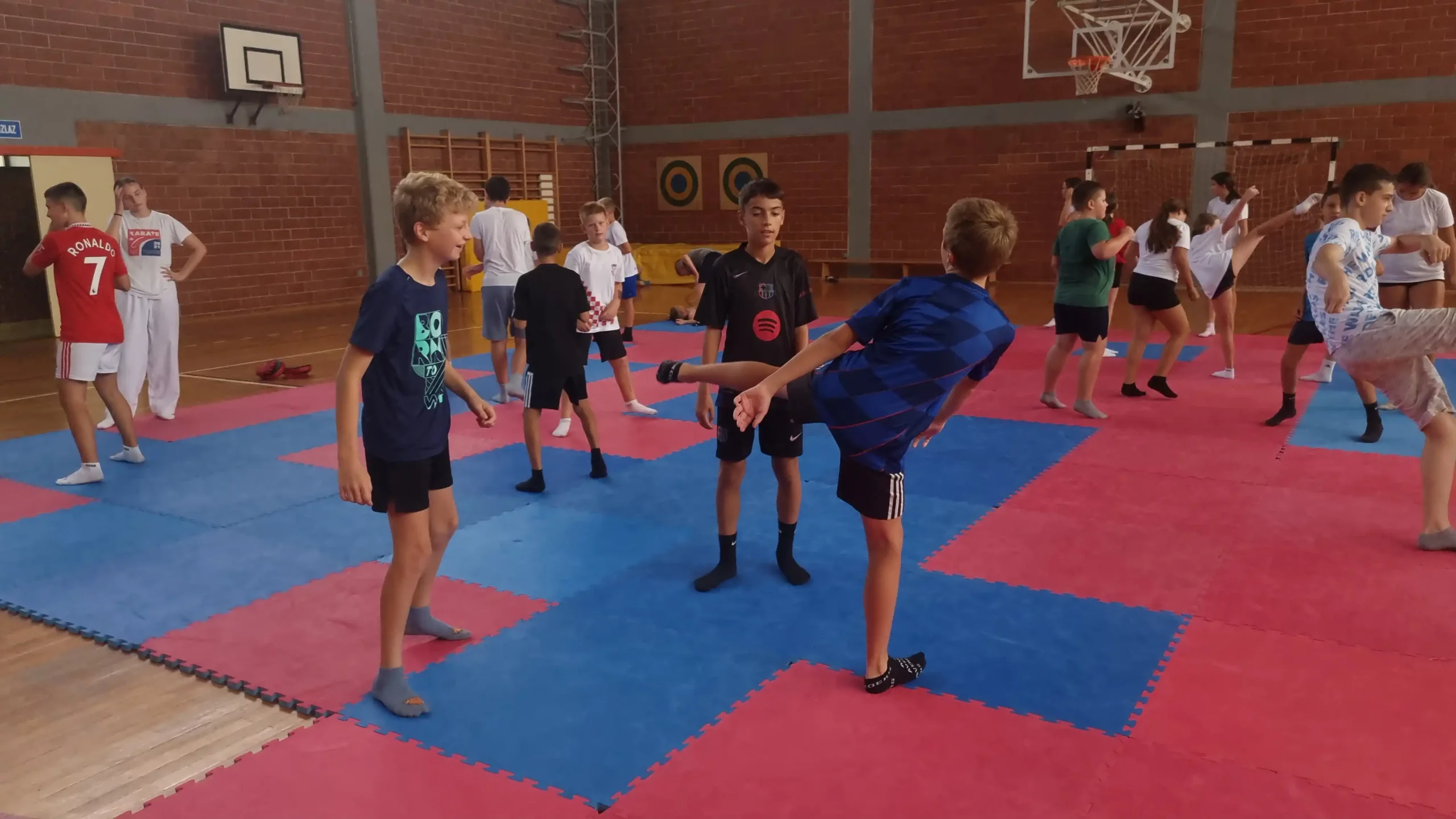Karate kamp u Nedelišću (6) Karate kamp u Nedelišću (6)