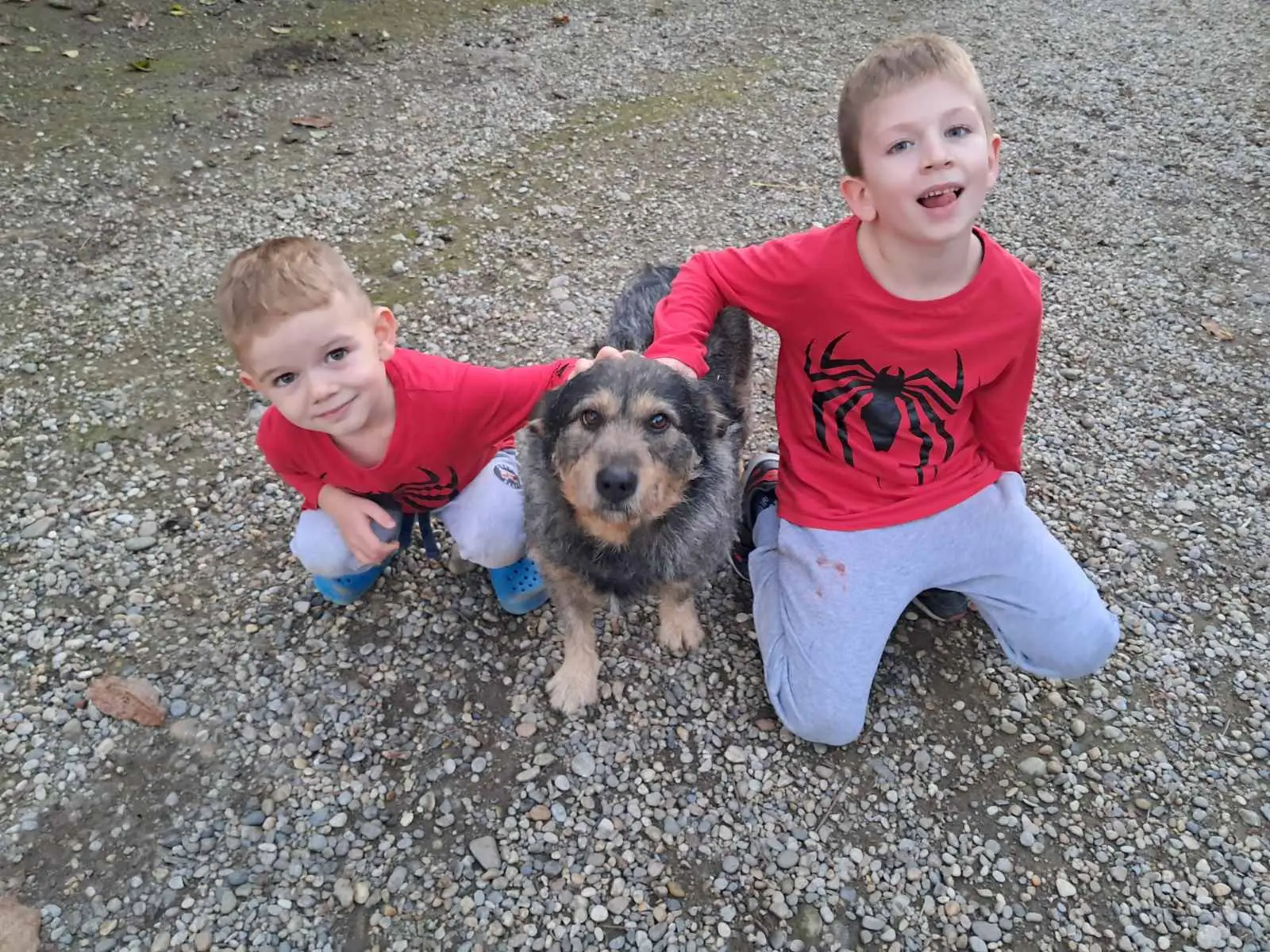 Karlo,Andrej (2)