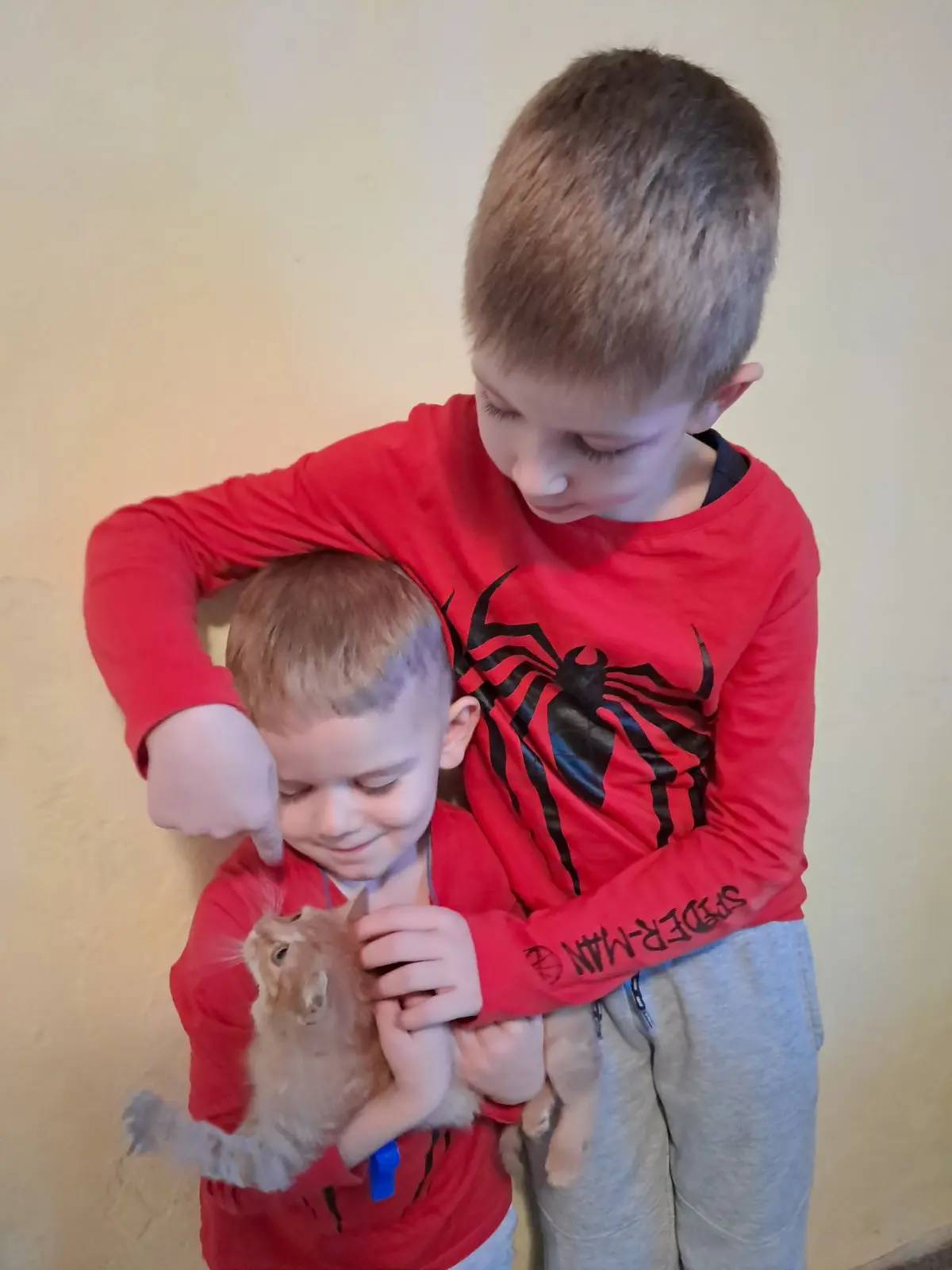 Karlo,Andrej (3)