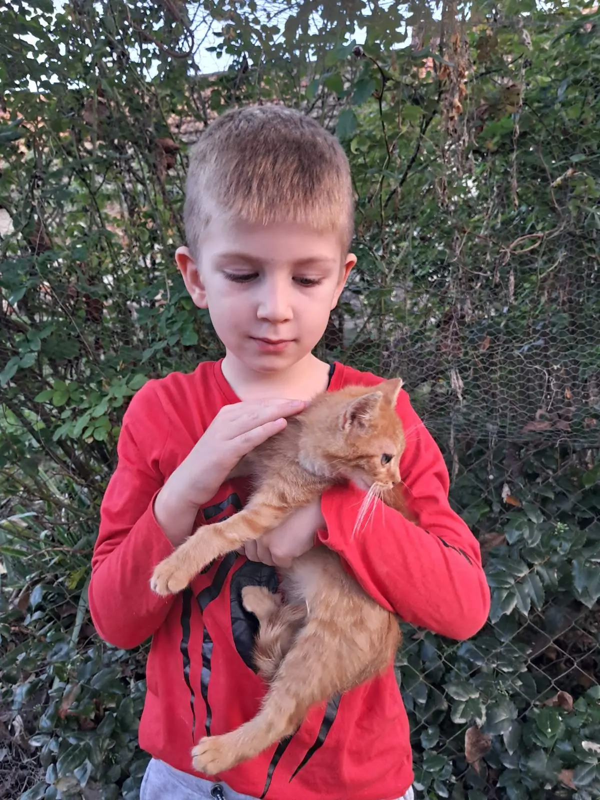 Karlo,Andrej (4)