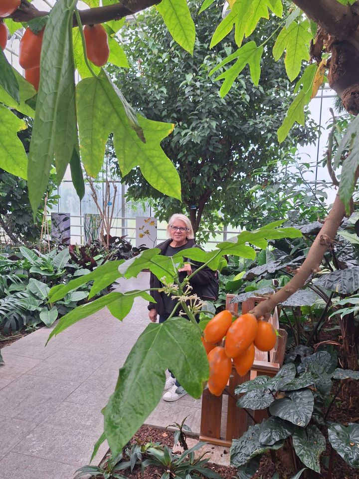 Karlovački Pinkleci blistali na memorijalnom Bogračfestu (18) Karlovački Pinkleci blistali na memorijalnom Bogračfestu (18)