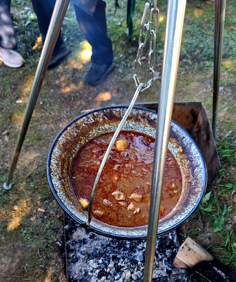 Karlovački Pinkleci blistali na memorijalnom Bogračfestu (6) Karlovački Pinkleci blistali na memorijalnom Bogračfestu (6)
