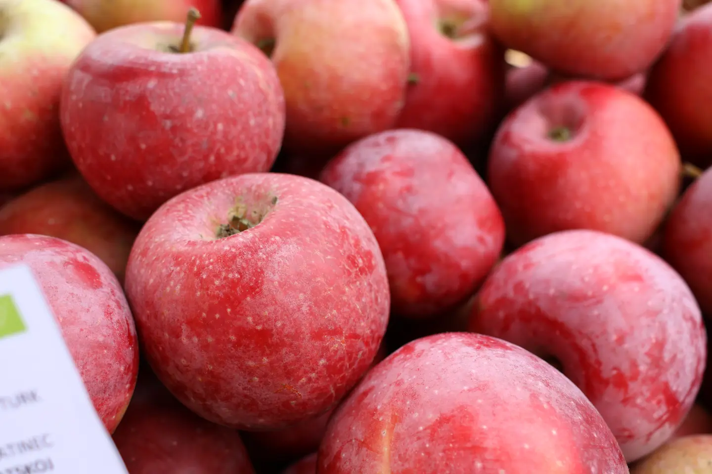 Katarija Lesar, OPG Lesar, Lesar, Lopatinec eko proizvodnja (5)