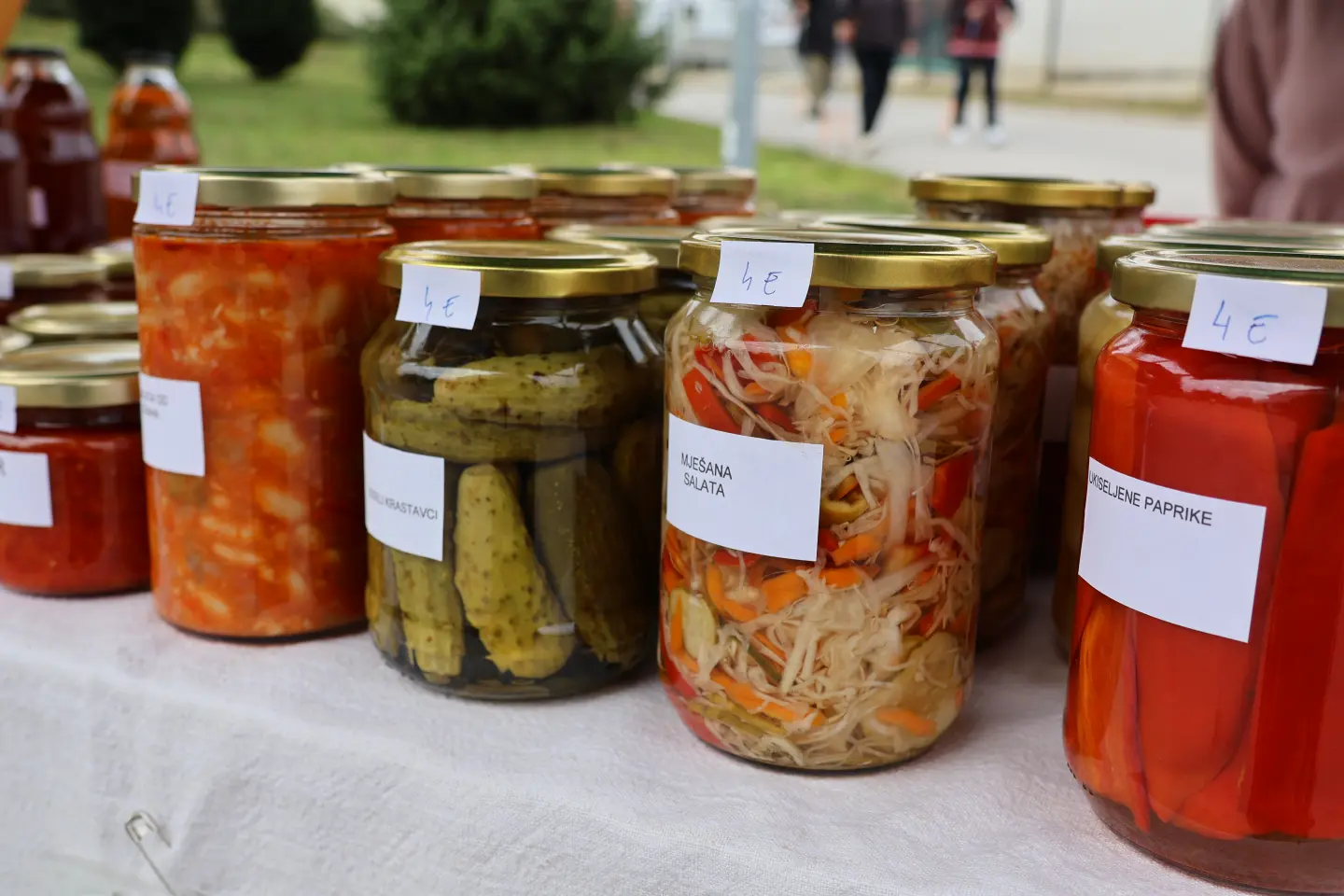 Katarija Lesar, OPG Lesar, Lesar, Lopatinec eko proizvodnja (6)