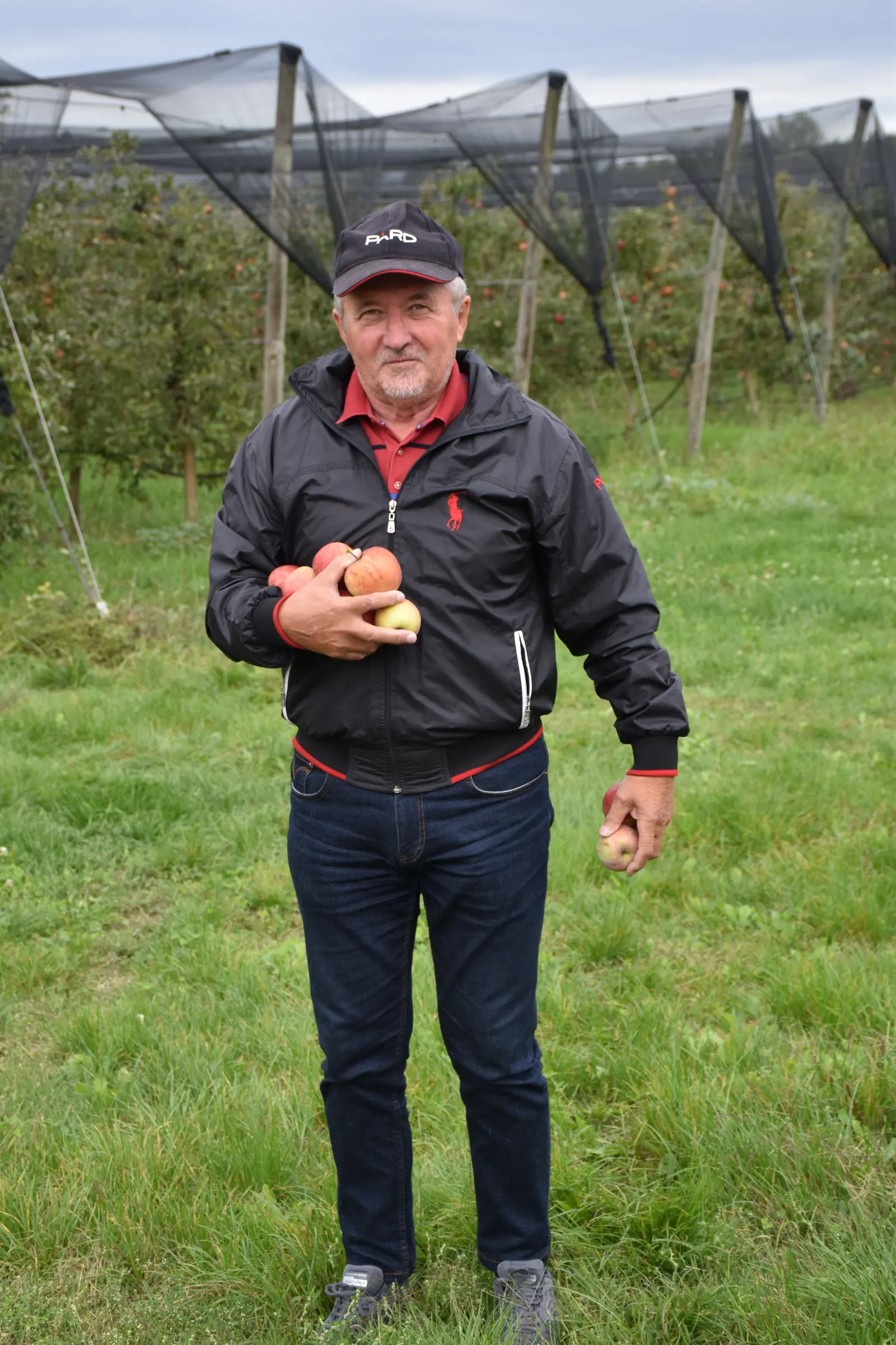 Katarina Mikec, Hemuševec, jabuke, jabuka, voćnjak (1)