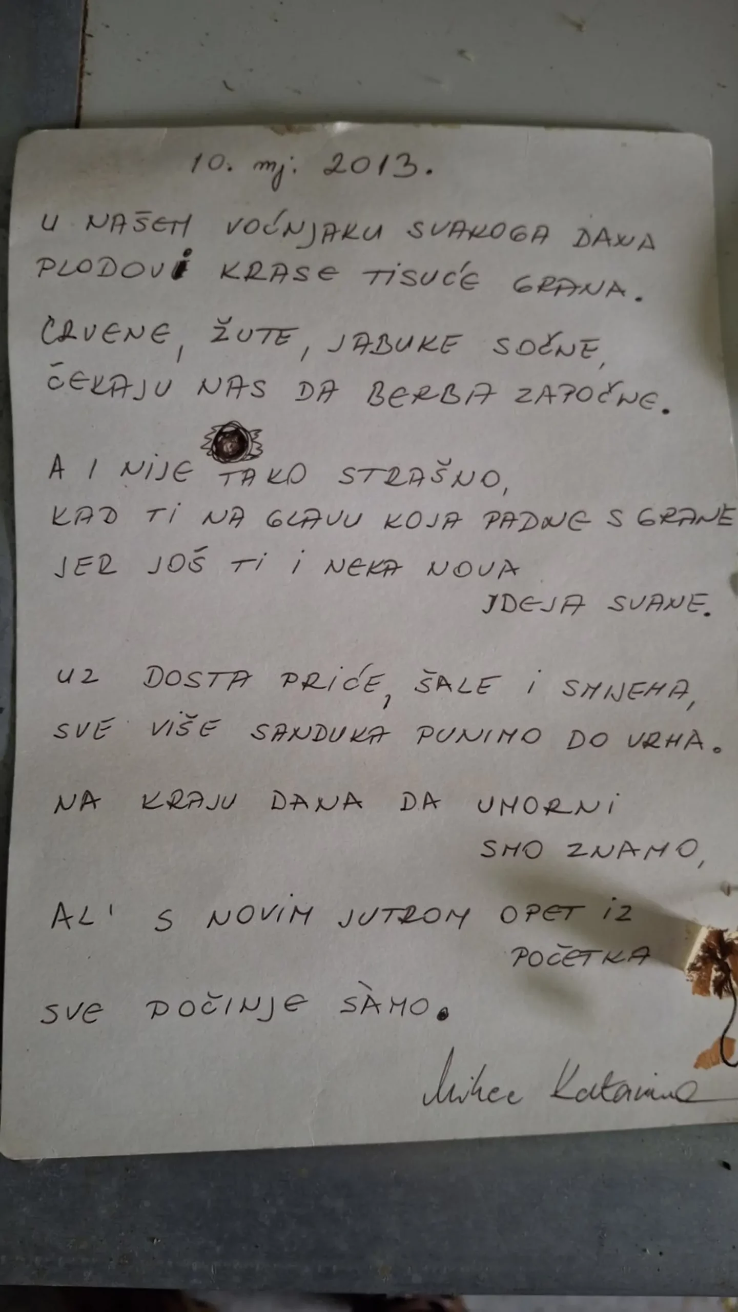 Katarina Mikec, Hemuševec, jabuke, jabuka, voćnjak (11)