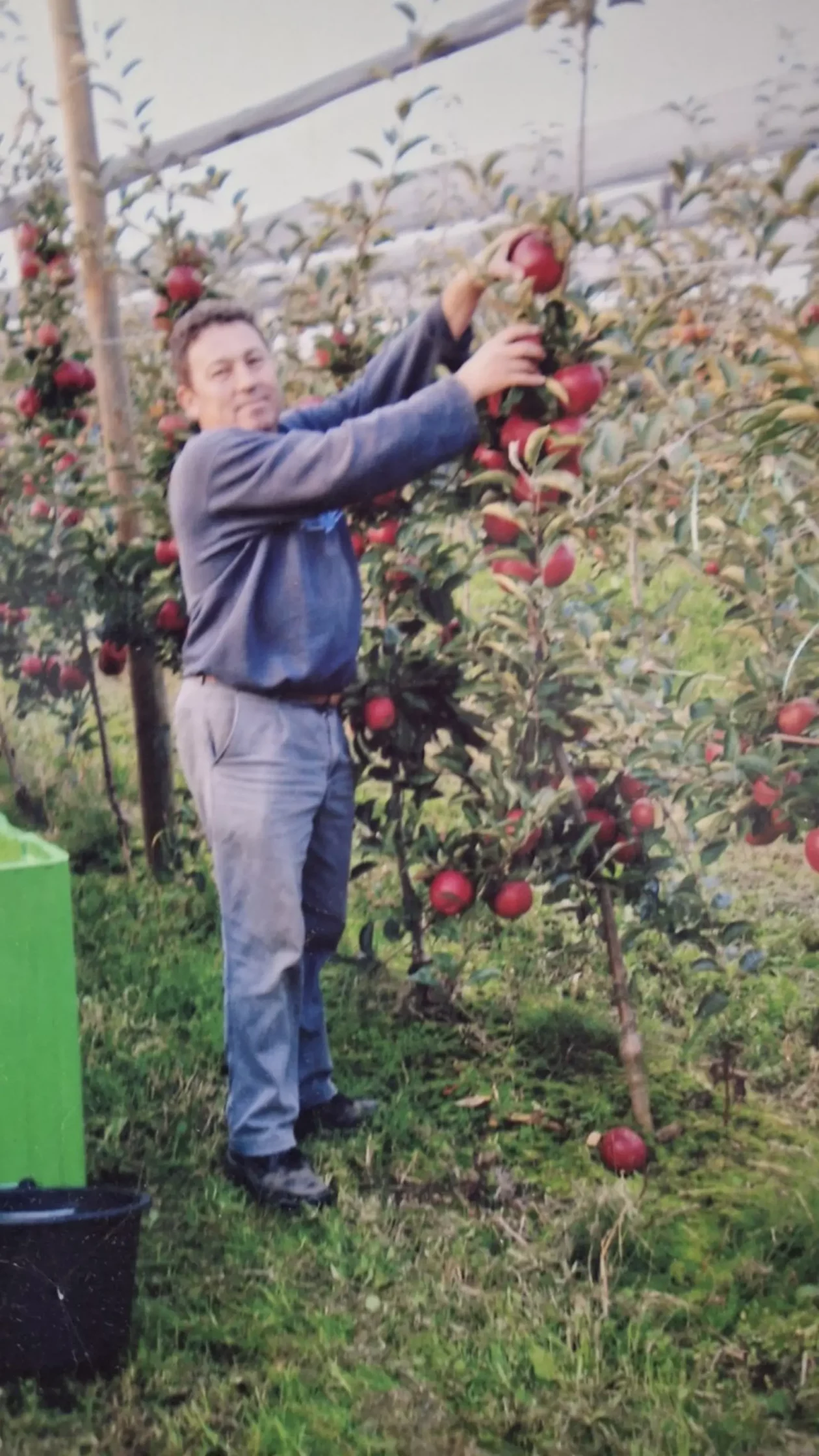 Katarina Mikec, Hemuševec, jabuke, jabuka, voćnjak (16)