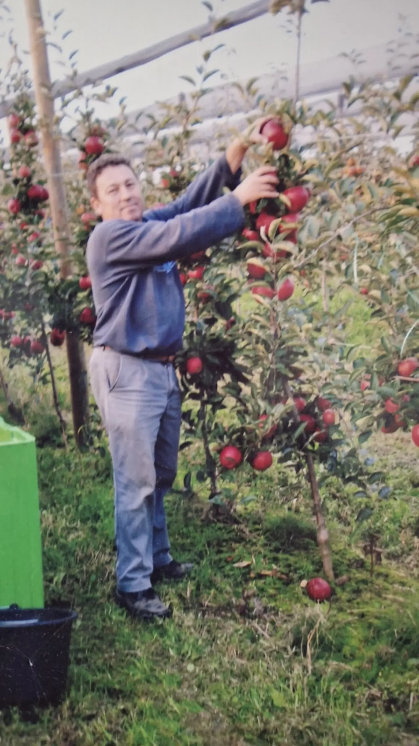 Katarina Mikec, Hemuševec, jabuke, jabuka, voćnjak (16)