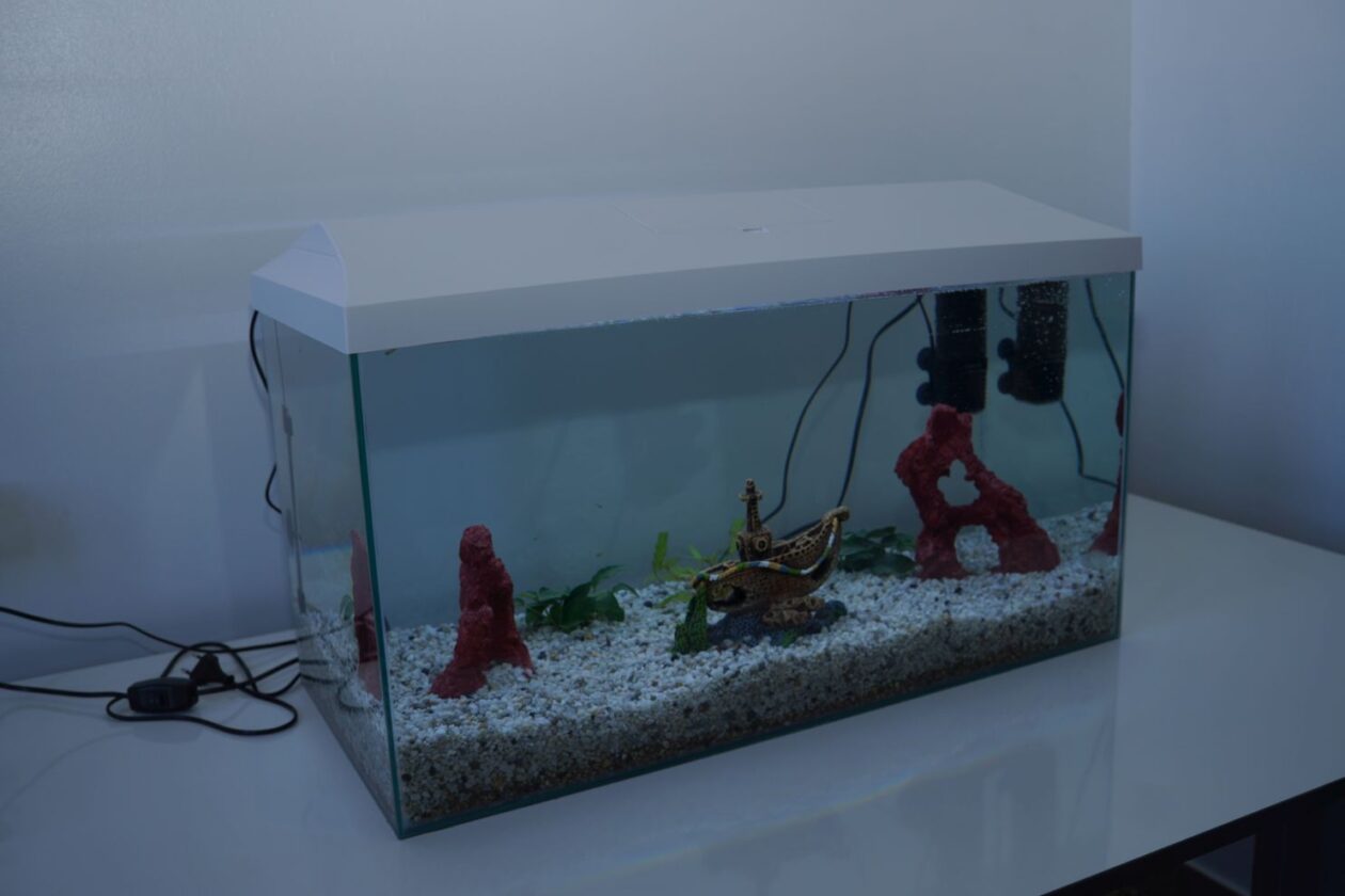 Katolička osnovna škola svetog Josipa Čakovec (44)