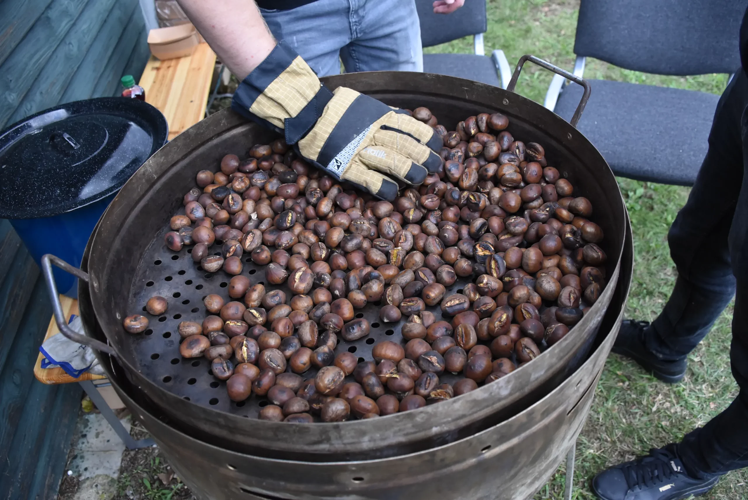 Kesteni (1) Kesteni (1)