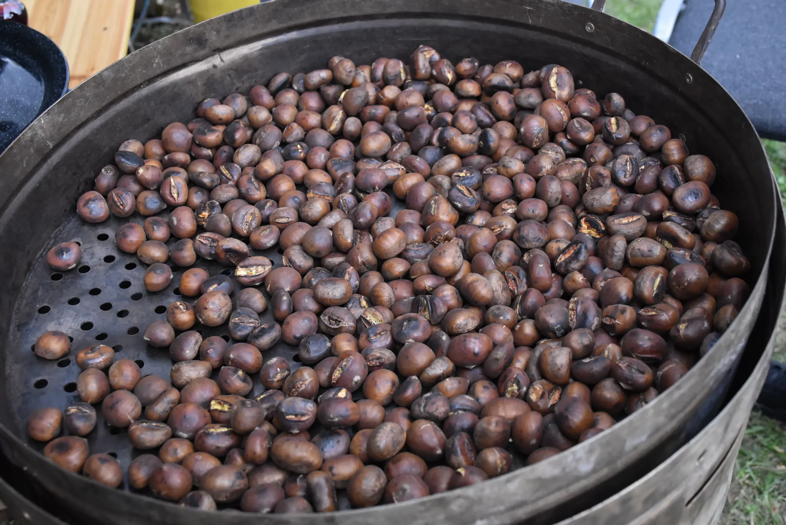 Kesteni (2) Kesteni (2)