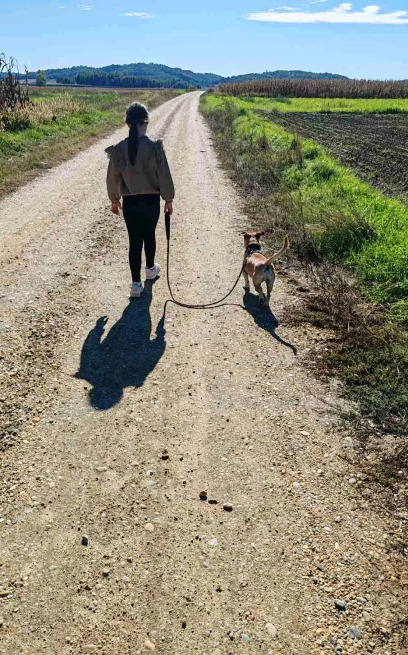 Klausi, Azil (1) Klausi, Azil (1)