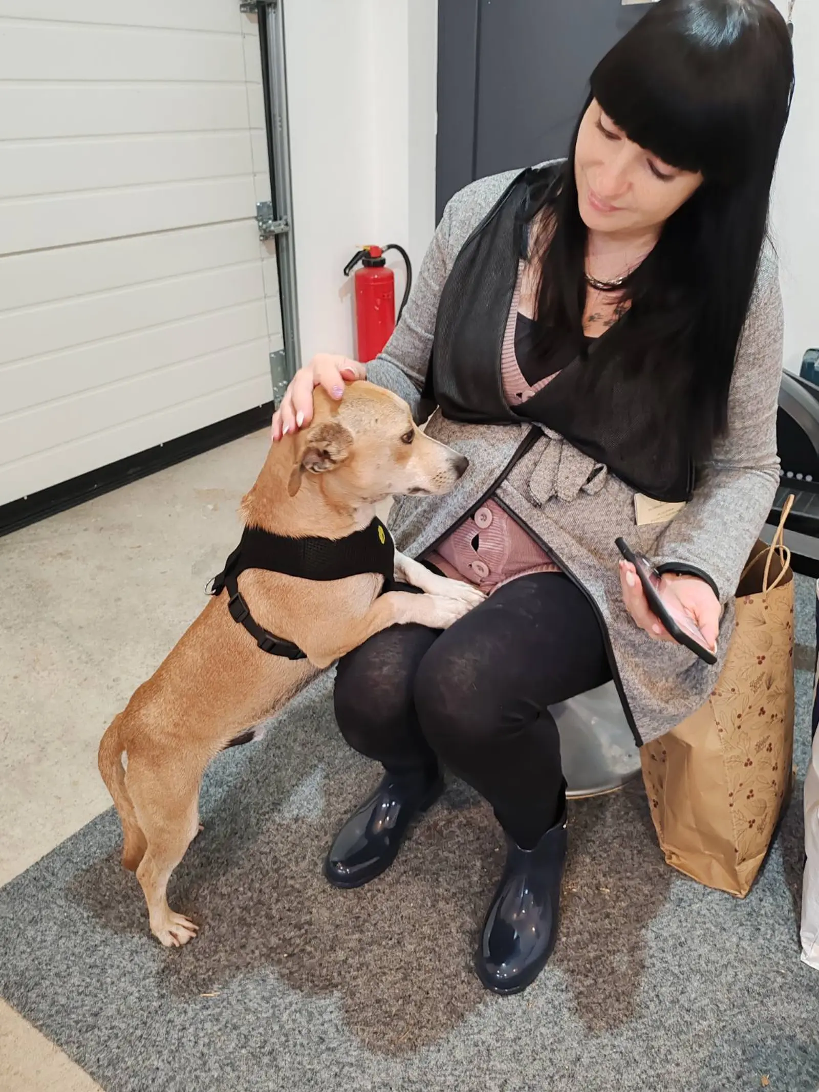 Klausi, Azil (2) Klausi, Azil (2)