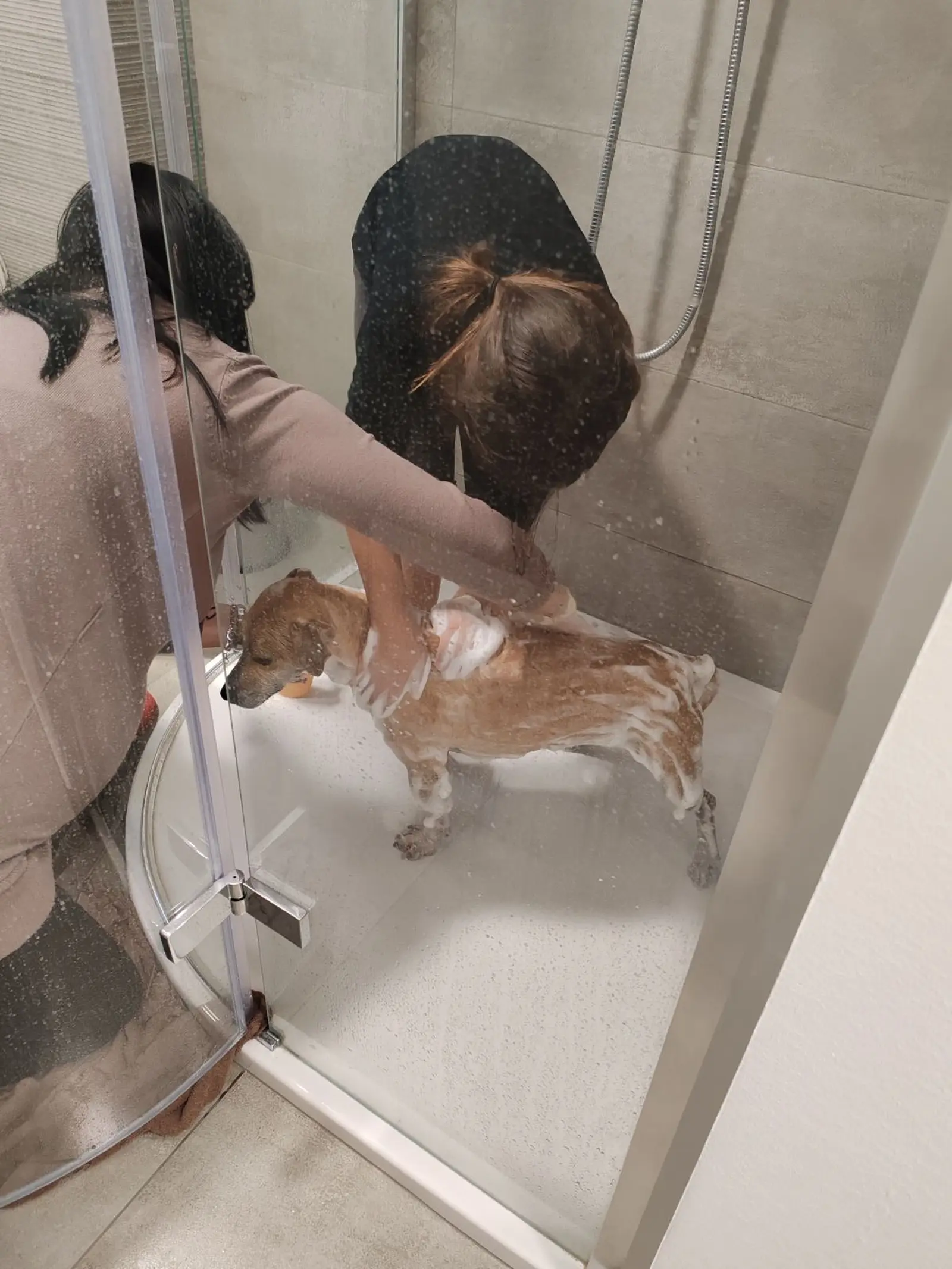 Klausi, Azil (4) Klausi, Azil (4)