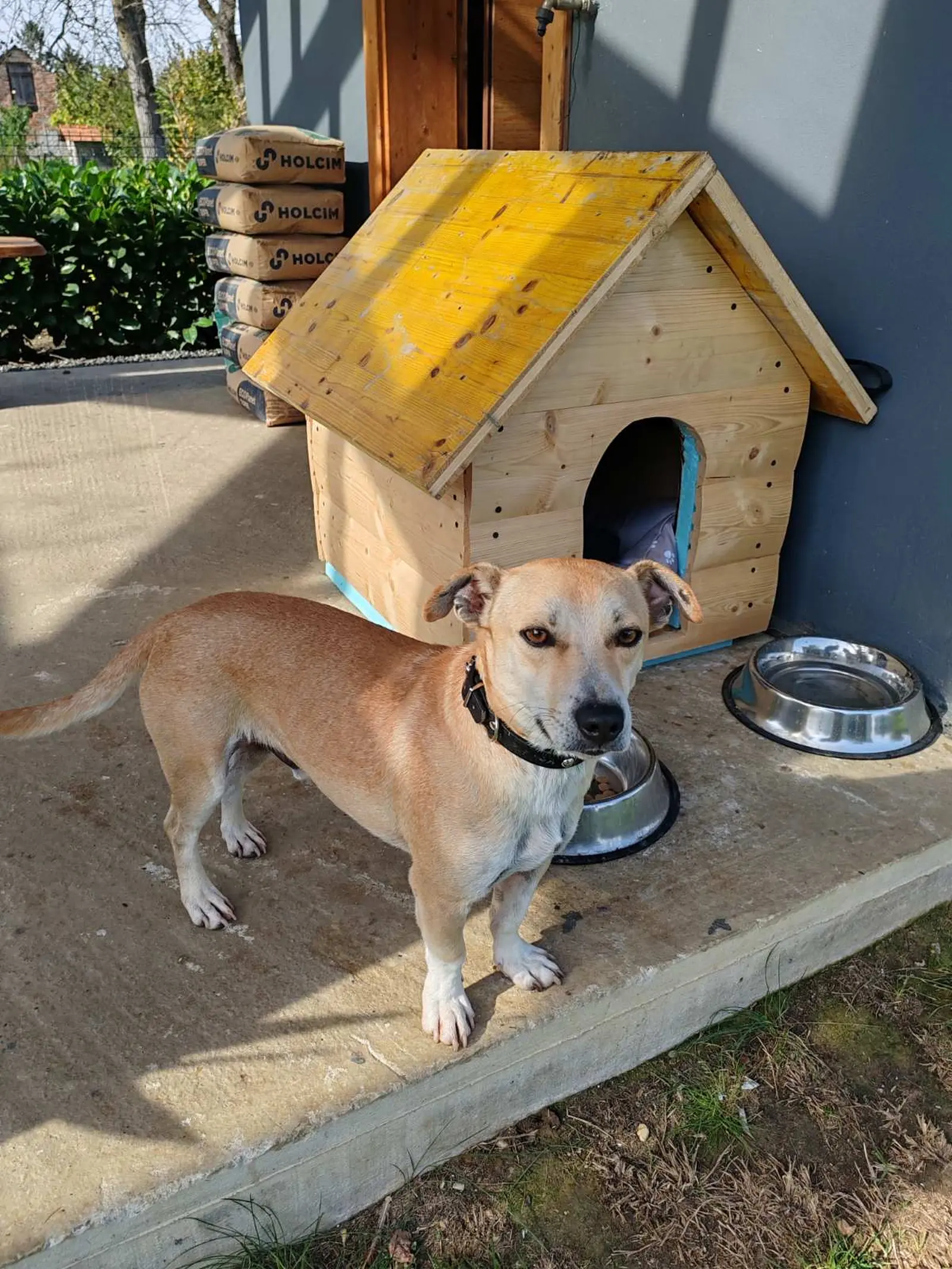 Klausi, Azil (7) Klausi, Azil (7)