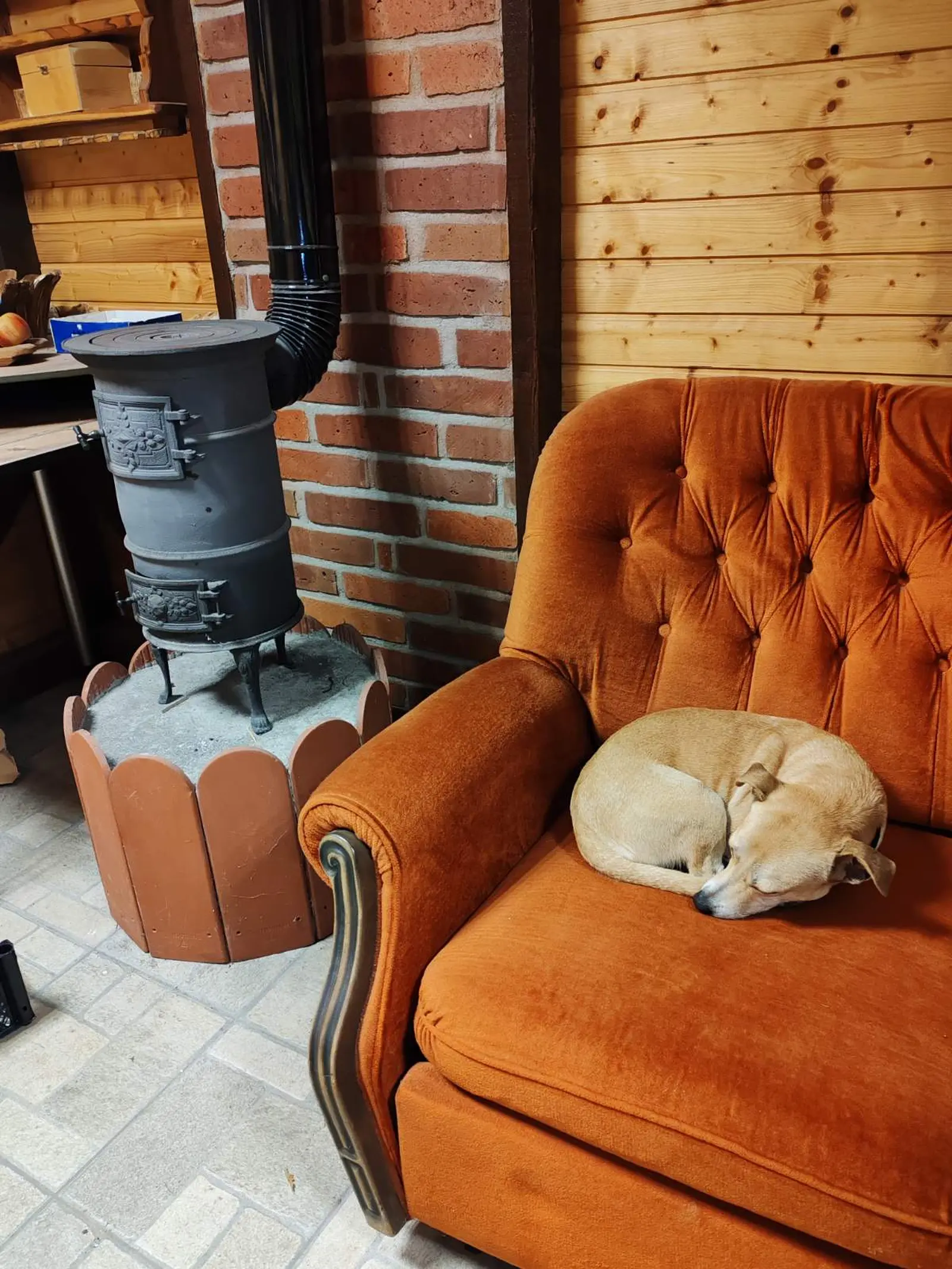 Klausi, Azil (9) Klausi, Azil (9)