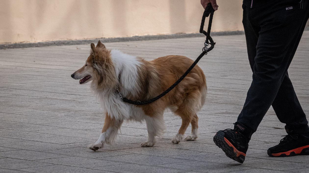 Klikom Po Čakovcu 8.3.2025 (3)