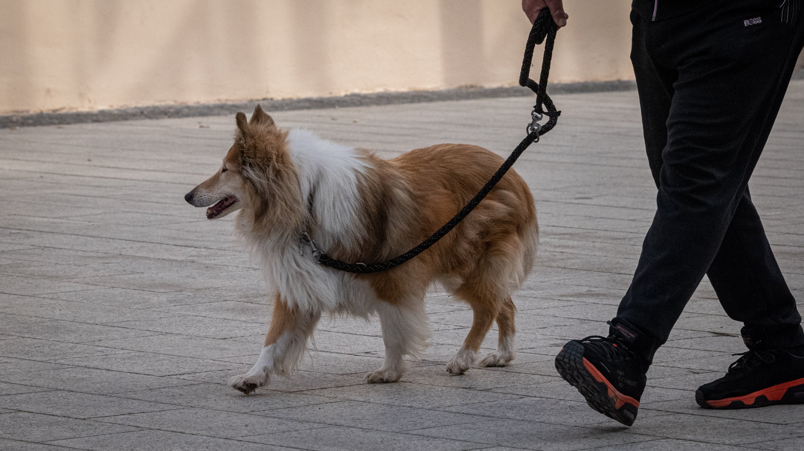 Klikom Po Čakovcu 8.3.2025 (3)