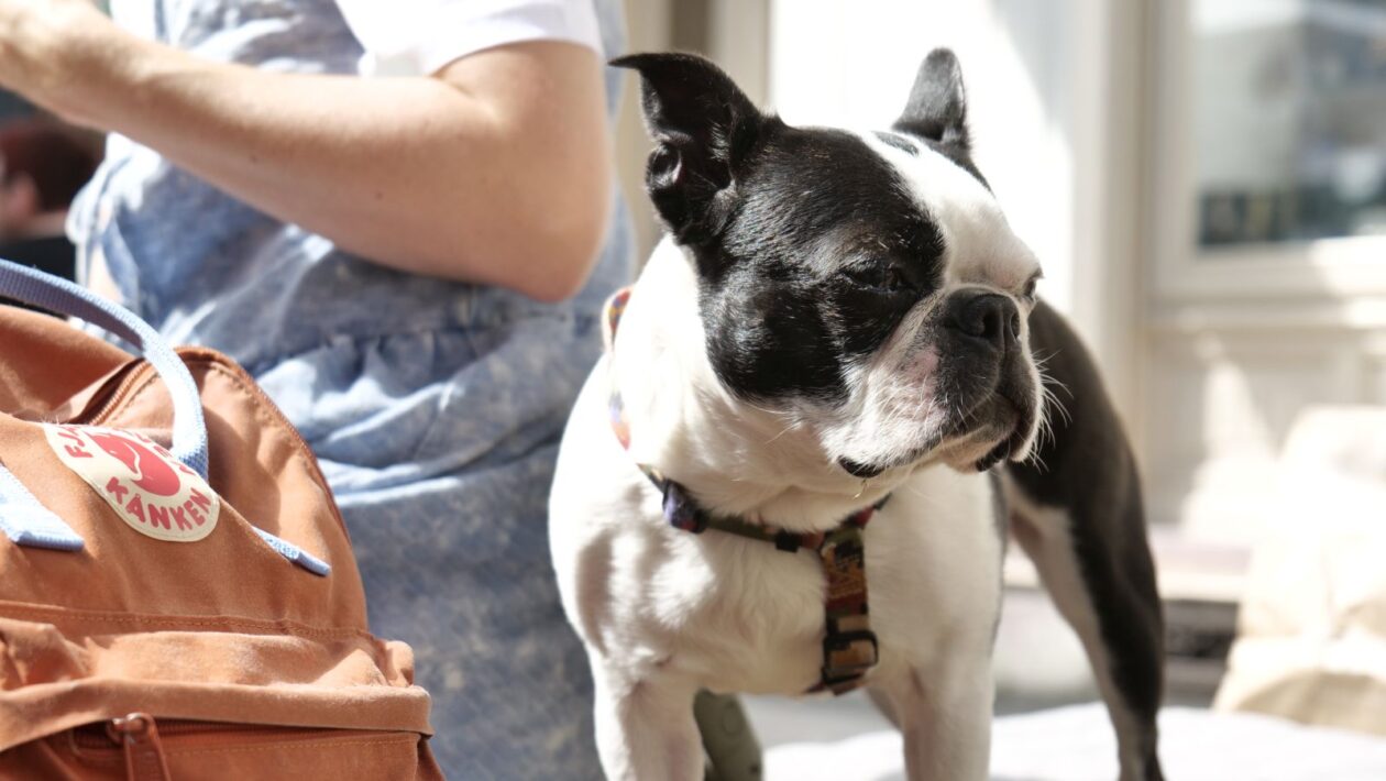 Klikom po ČK 2.8. 2025 (37)