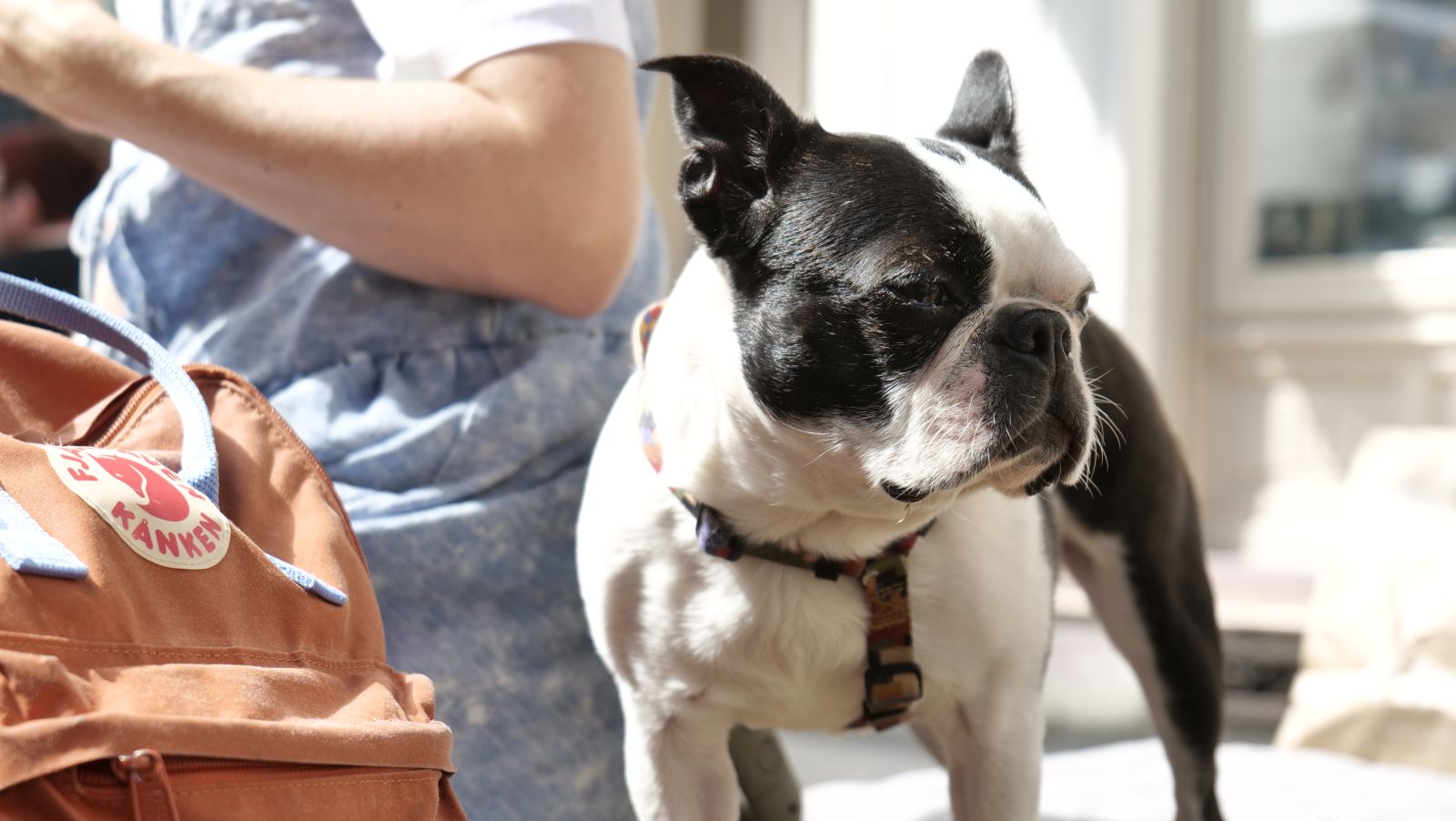 Klikom po ČK 2.8. 2025 (37)