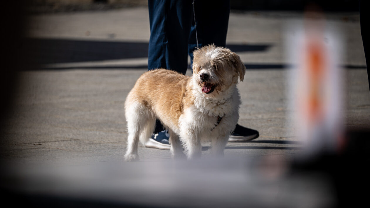 Klikom po ČK 2009-13 Klikom po ČK 2009-13