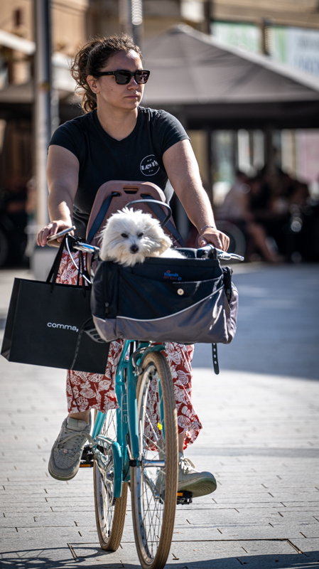 Klikom po ČK 2009-8 Klikom po ČK 2009-8