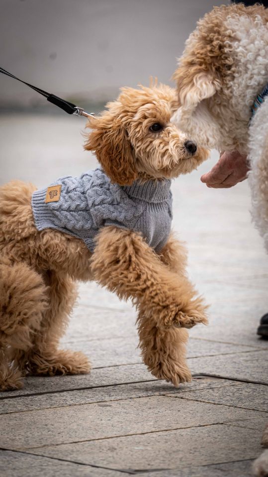 Klikom po Čakovcu 11.4 (38)