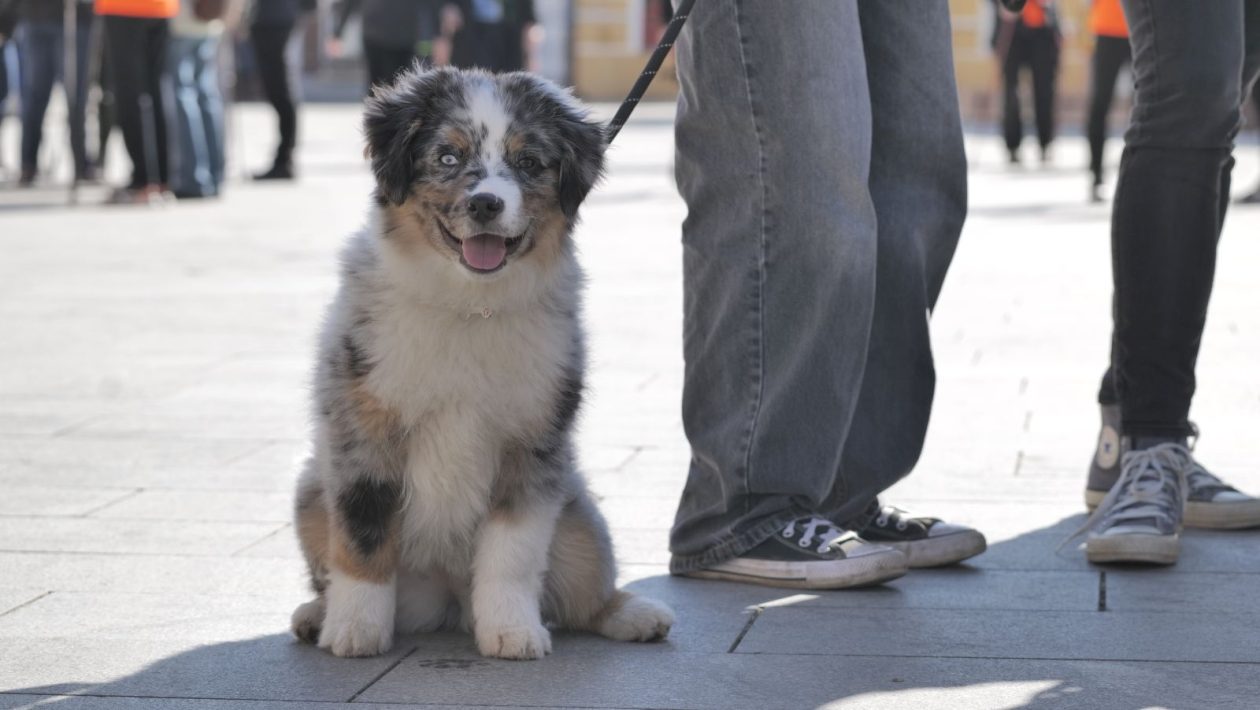 Klikom po Čakovcu 13.3 (21)