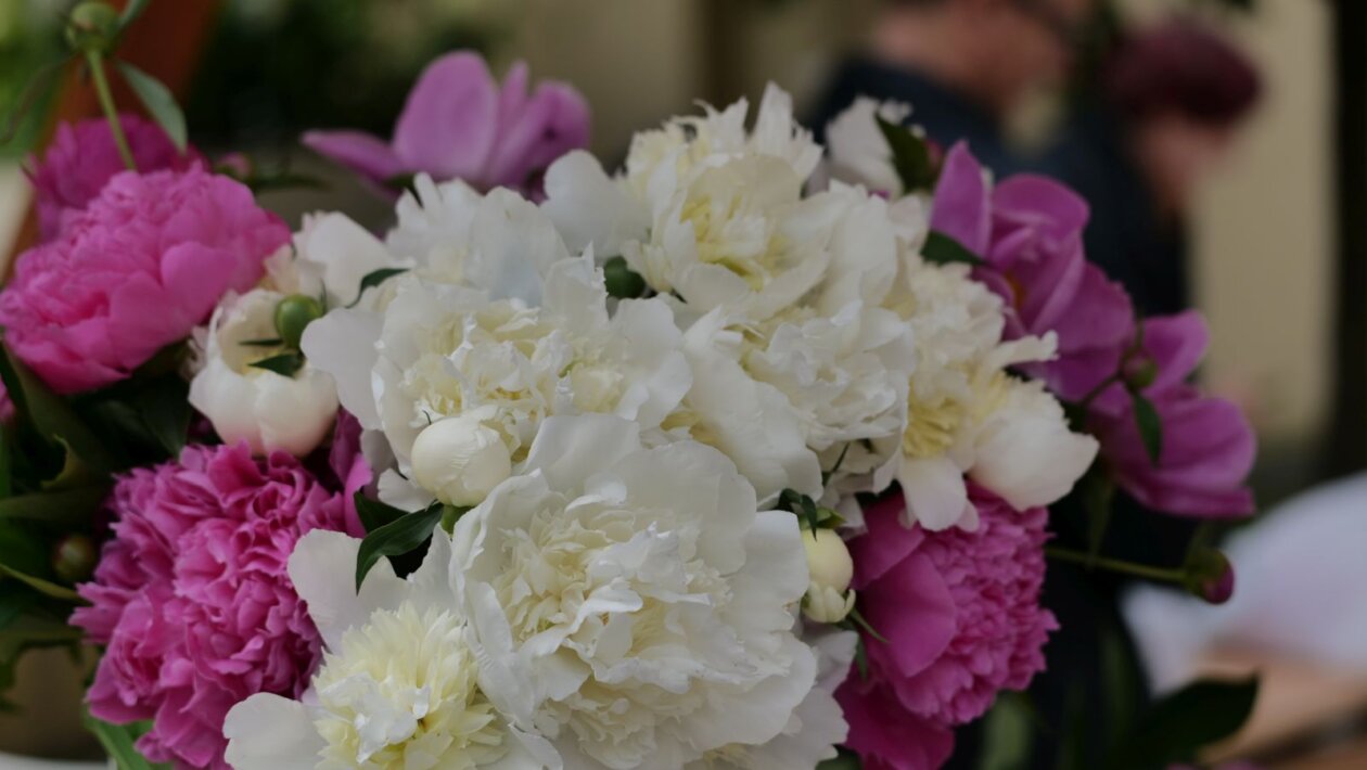 Klikom po Čakovcu, 17. 5. 2025 (24)