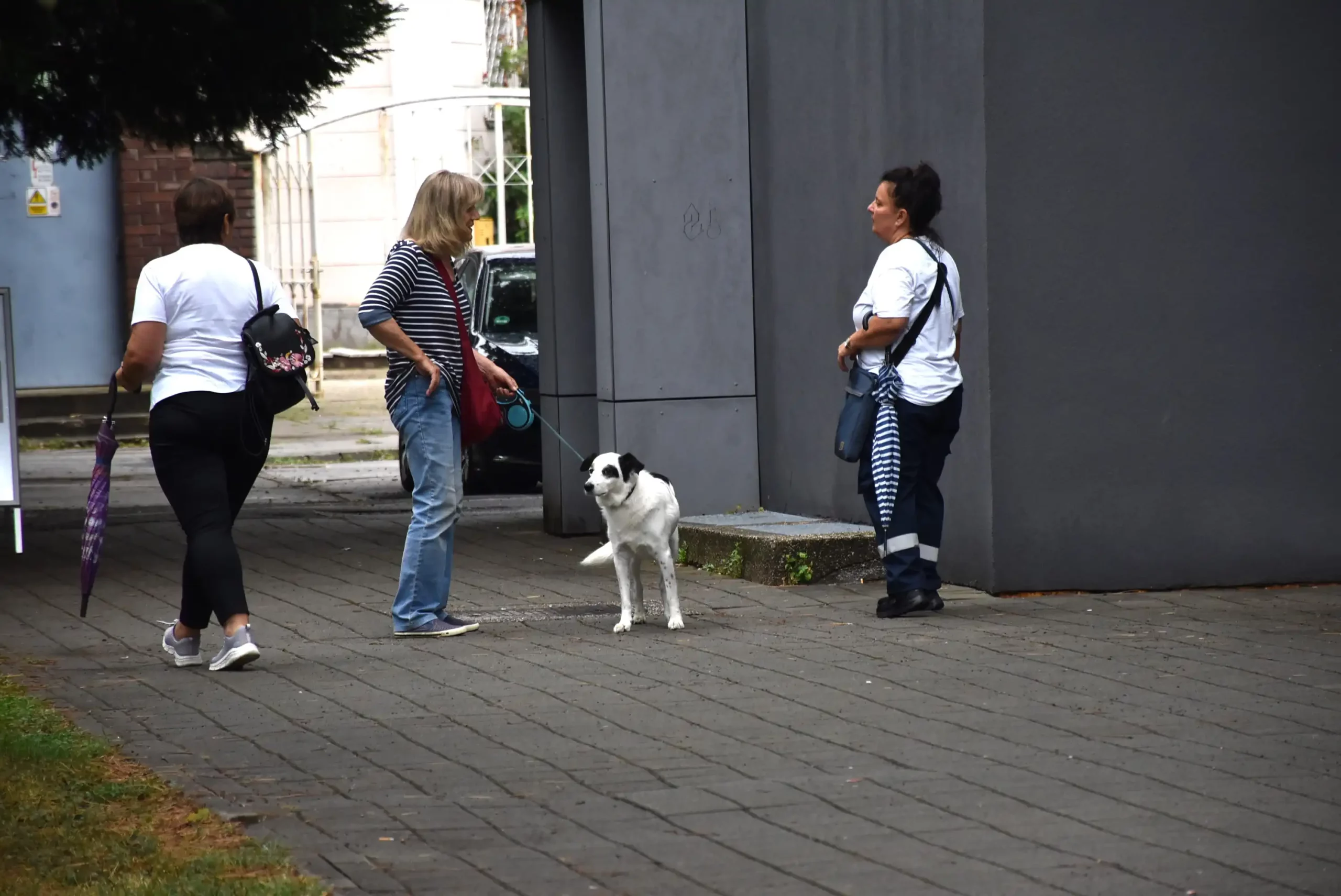 Klikom po Čakovcu (2)