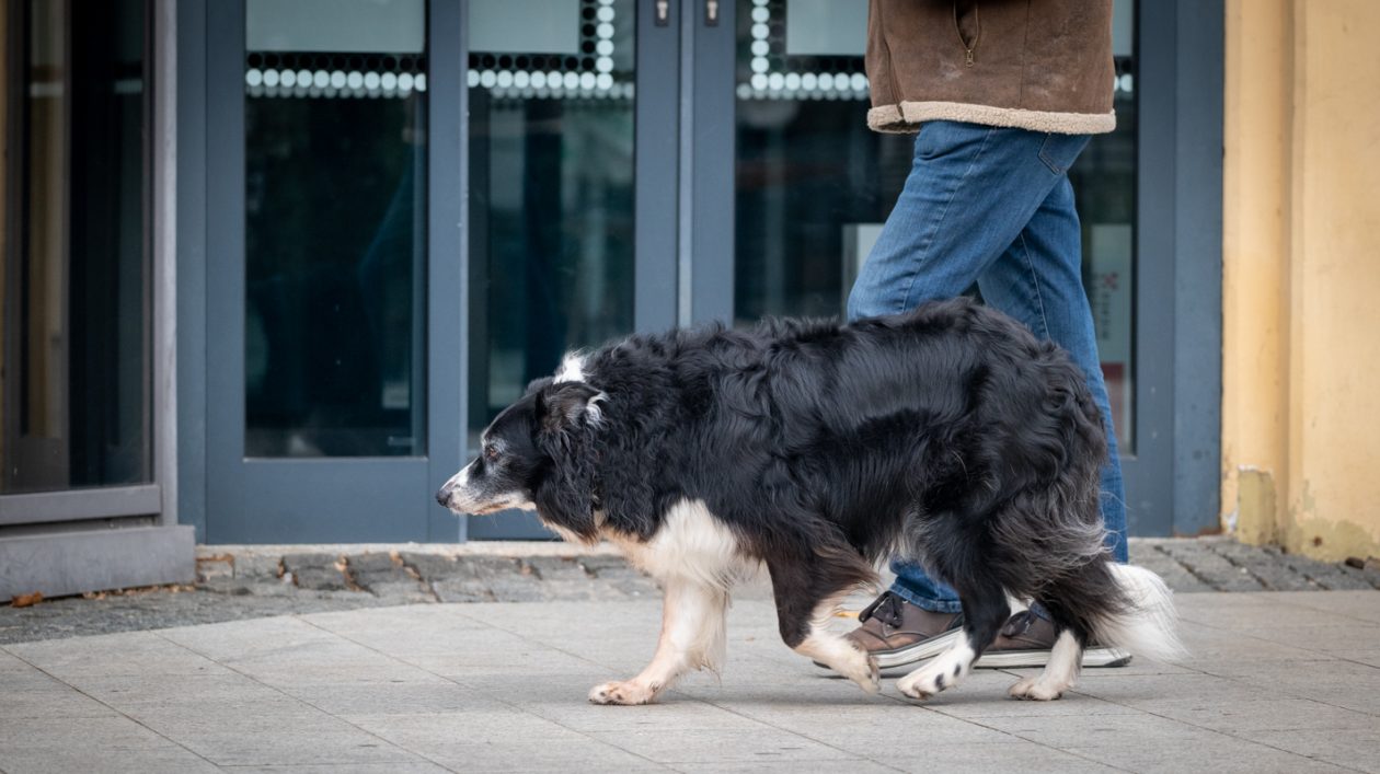 Klikom po Čakovcu-29