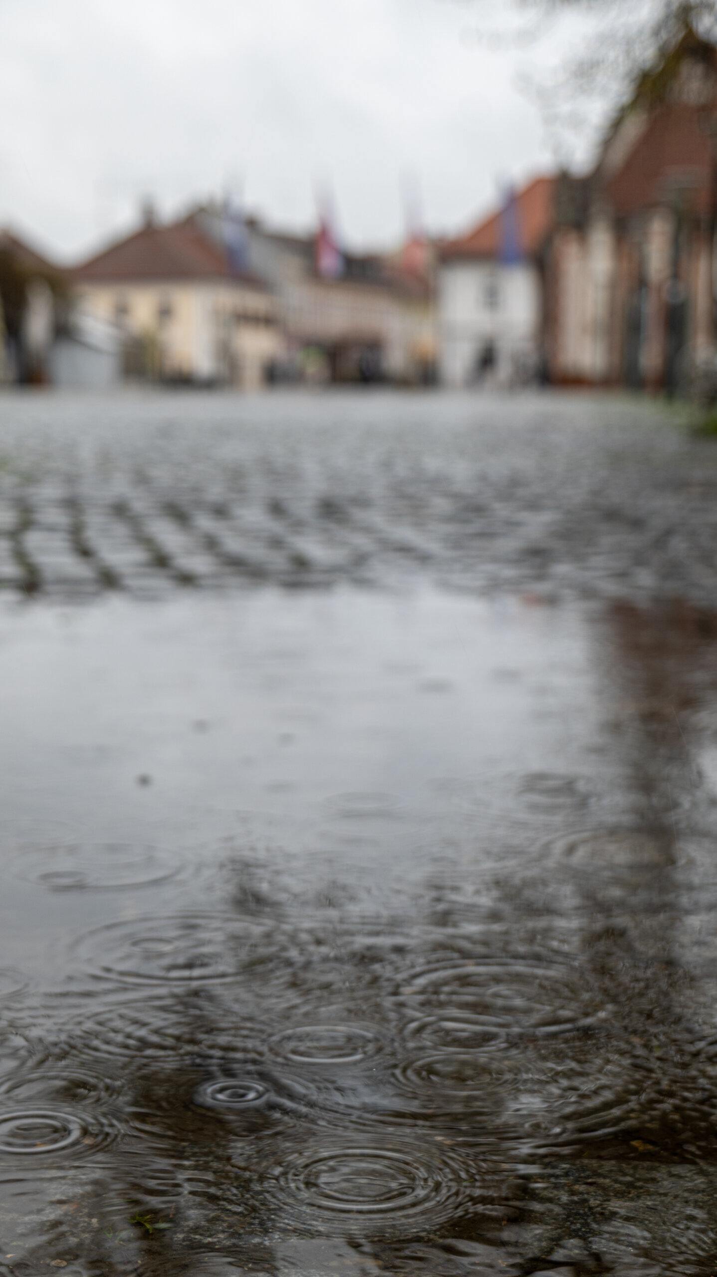 Klikom po Čakovcu 29.3.2025 (1) Klikom po Čakovcu 29.3.2025 (1)