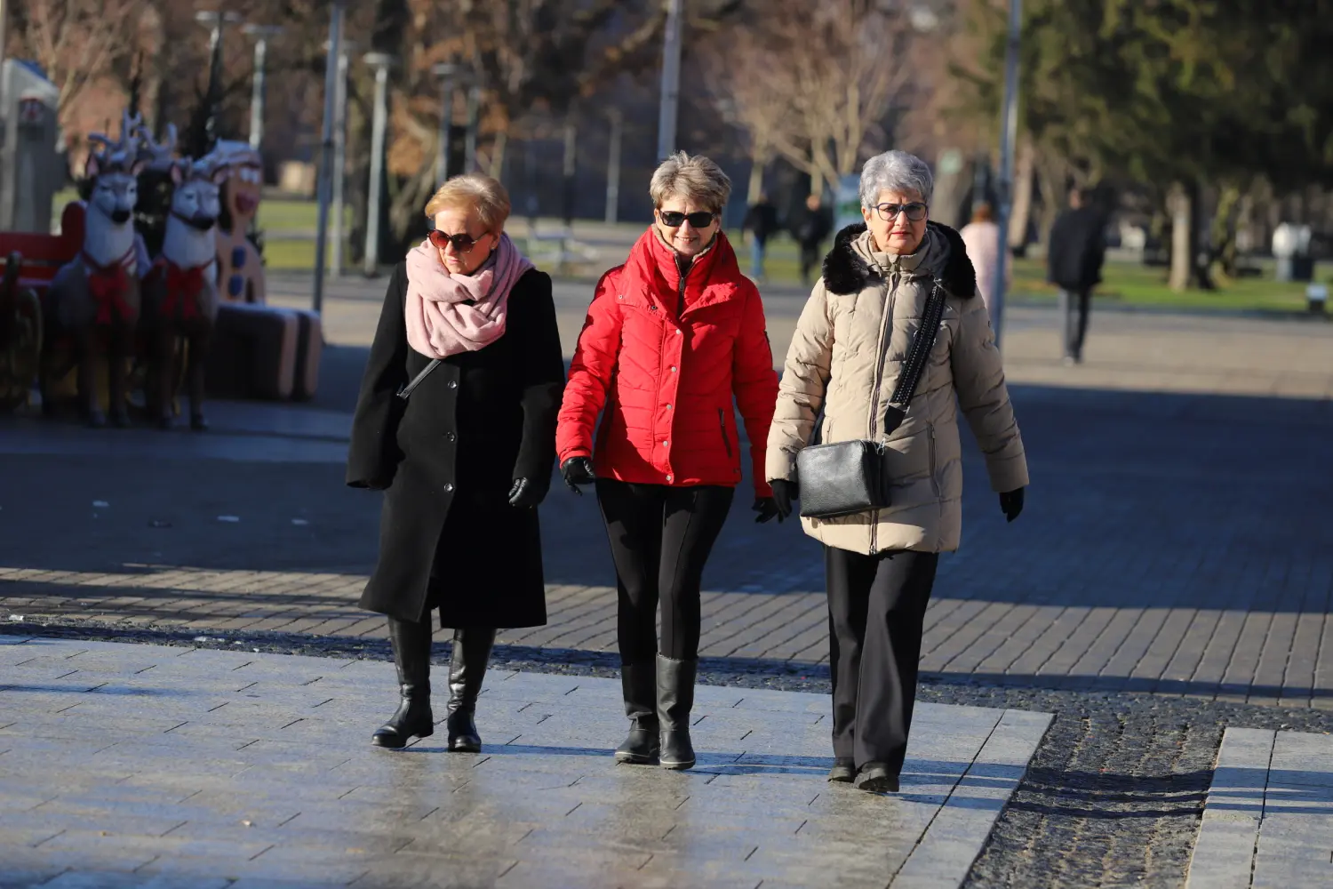 Klikom po Čakovcu, 4.1.2025 (13) Klikom po Čakovcu, 4.1.2025 (13)