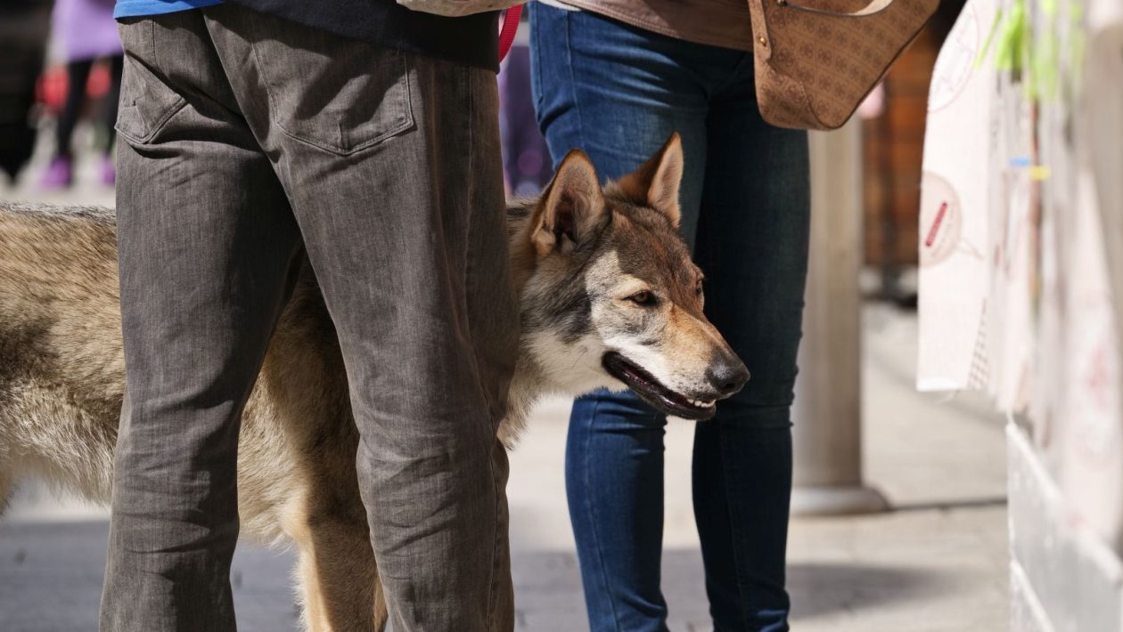 Klikom po Čakovcu 4.4 (32)