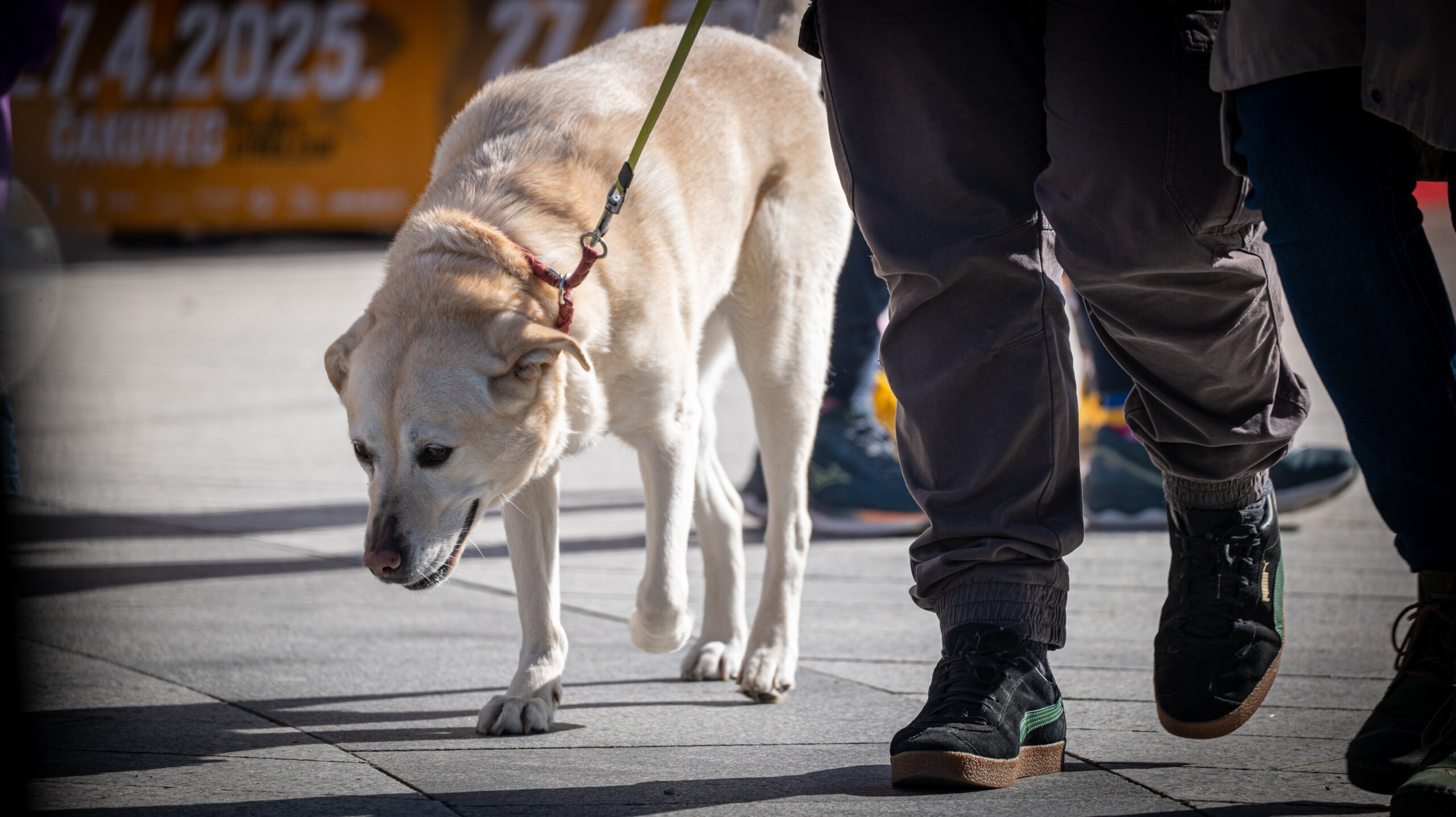 Klikom po Čakovcu 5.4.2025 (16) Klikom po Čakovcu 5.4.2025 (16)