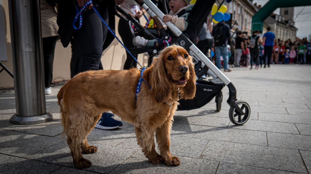 Klikom po Čakovcu 5.4.2025 (21) Klikom po Čakovcu 5.4.2025 (21)