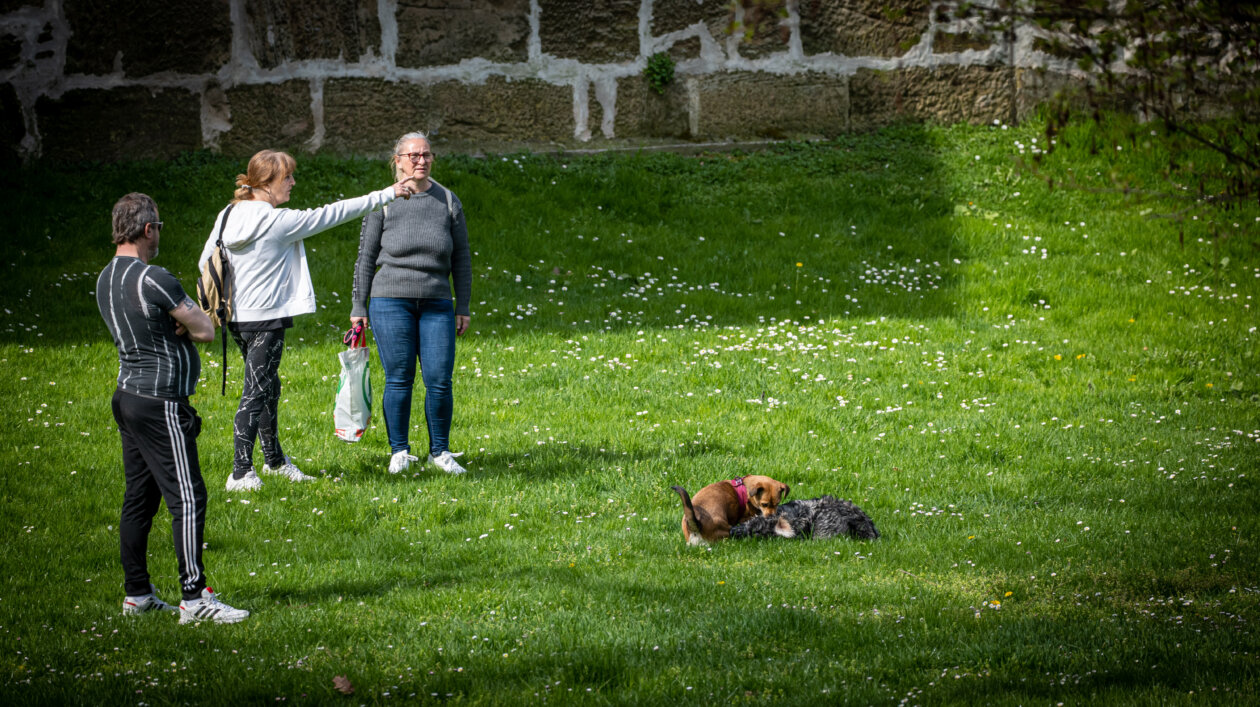 Klikom po Čakovcu 5.4.2025 (22) Klikom po Čakovcu 5.4.2025 (22)