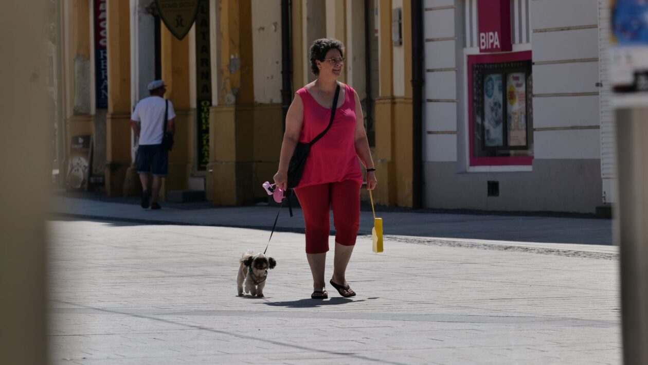 Klikom po Čakovcu, 5.7. 2025 (21)