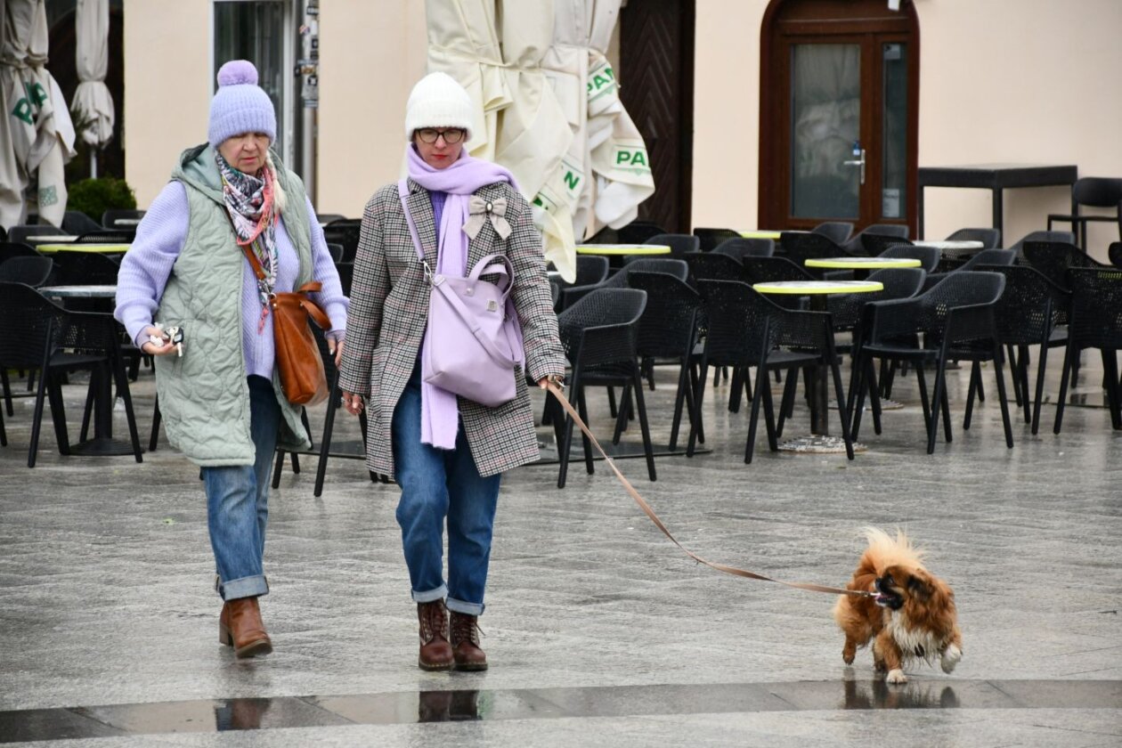 Klikom po Čk (33) Klikom po Čk (33)